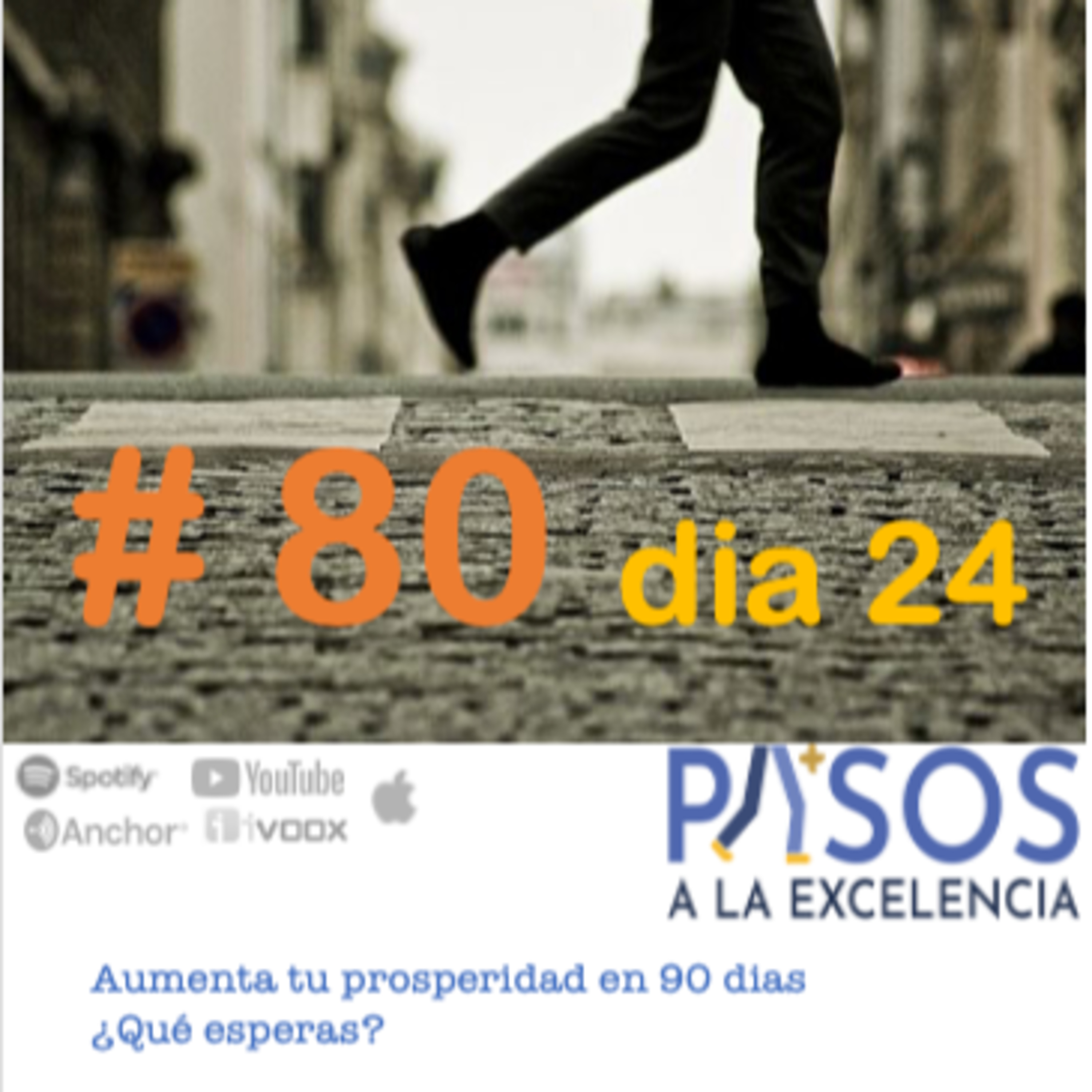 Pasos a la Excelencia