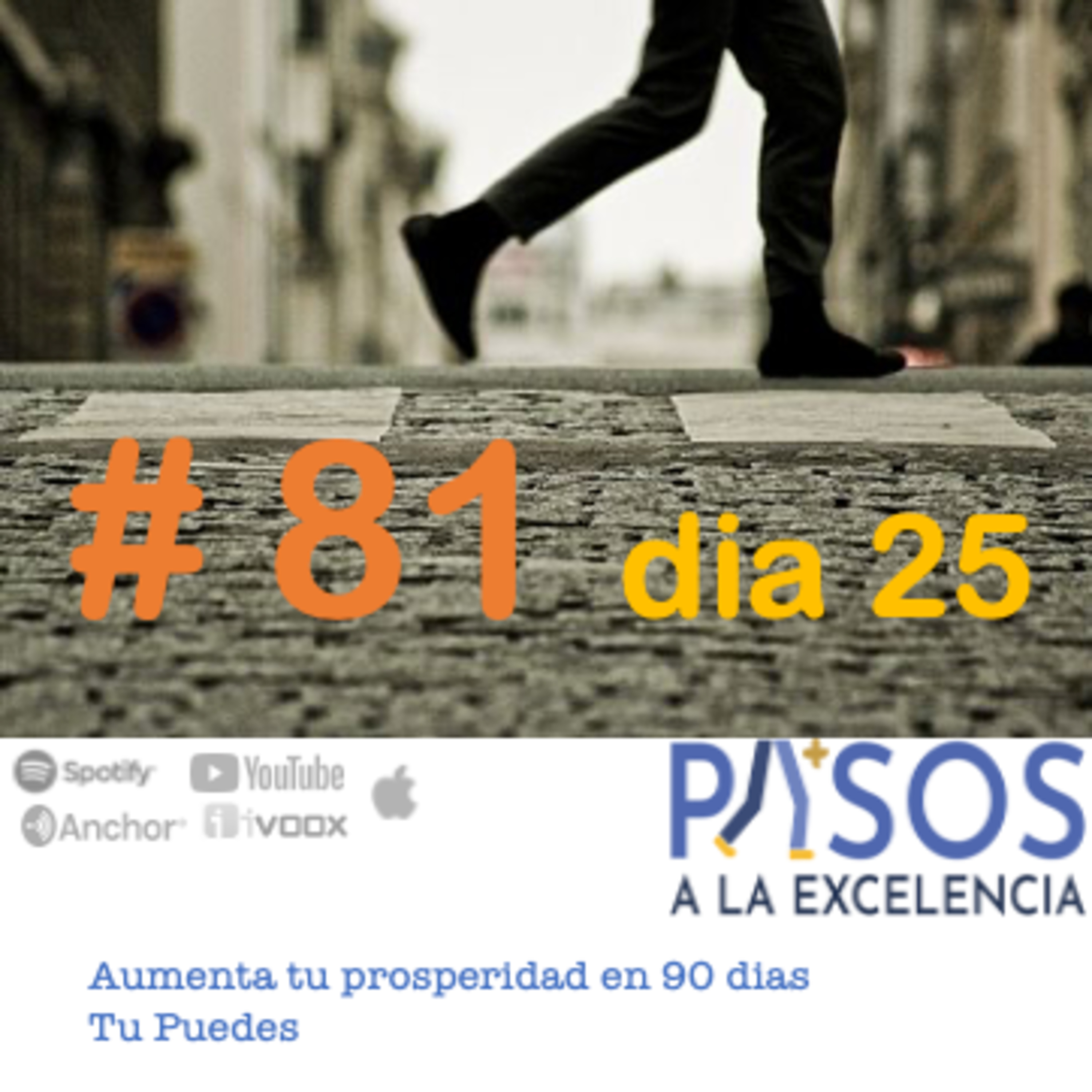 Pasos a la Excelencia