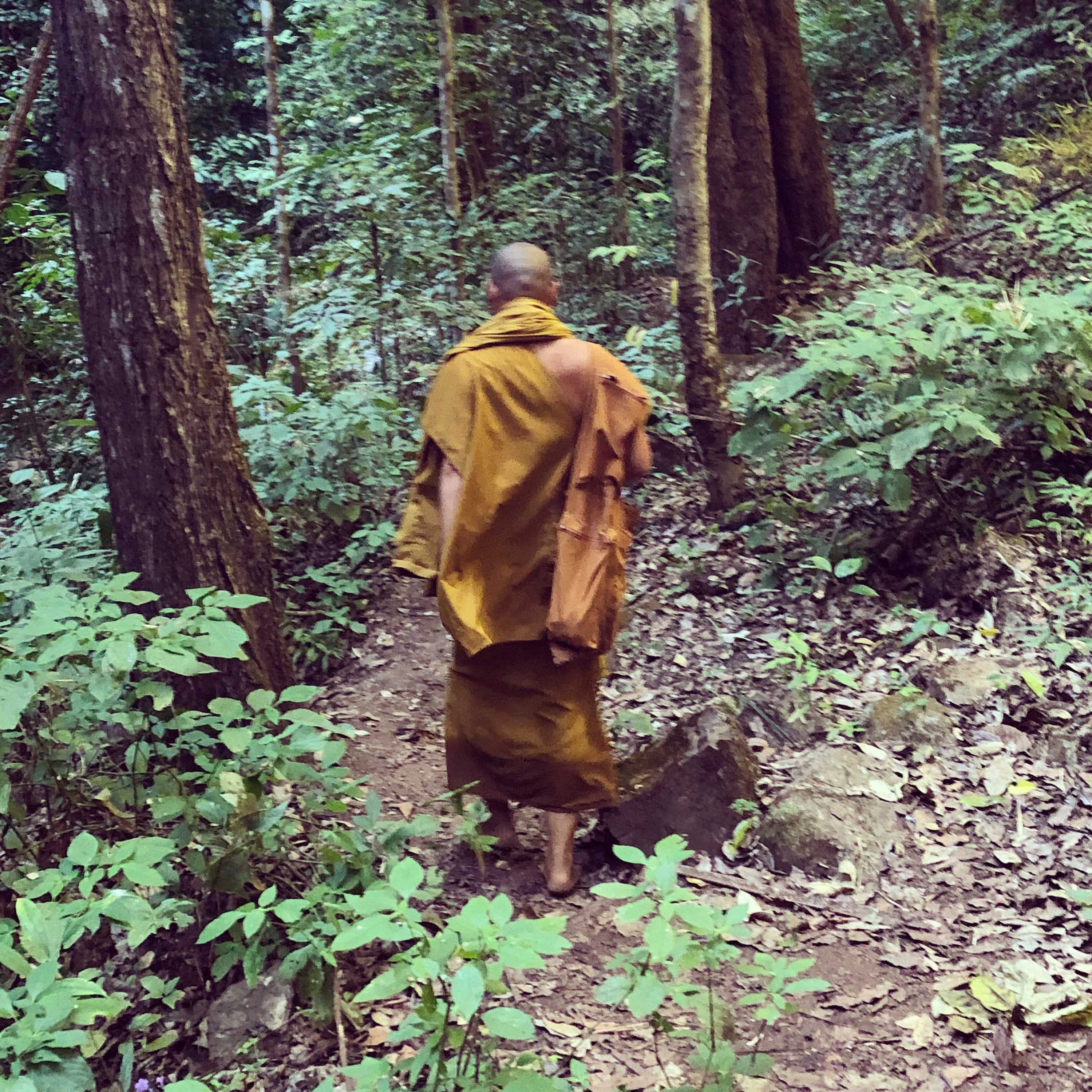13: Enlightenment? episode artwork