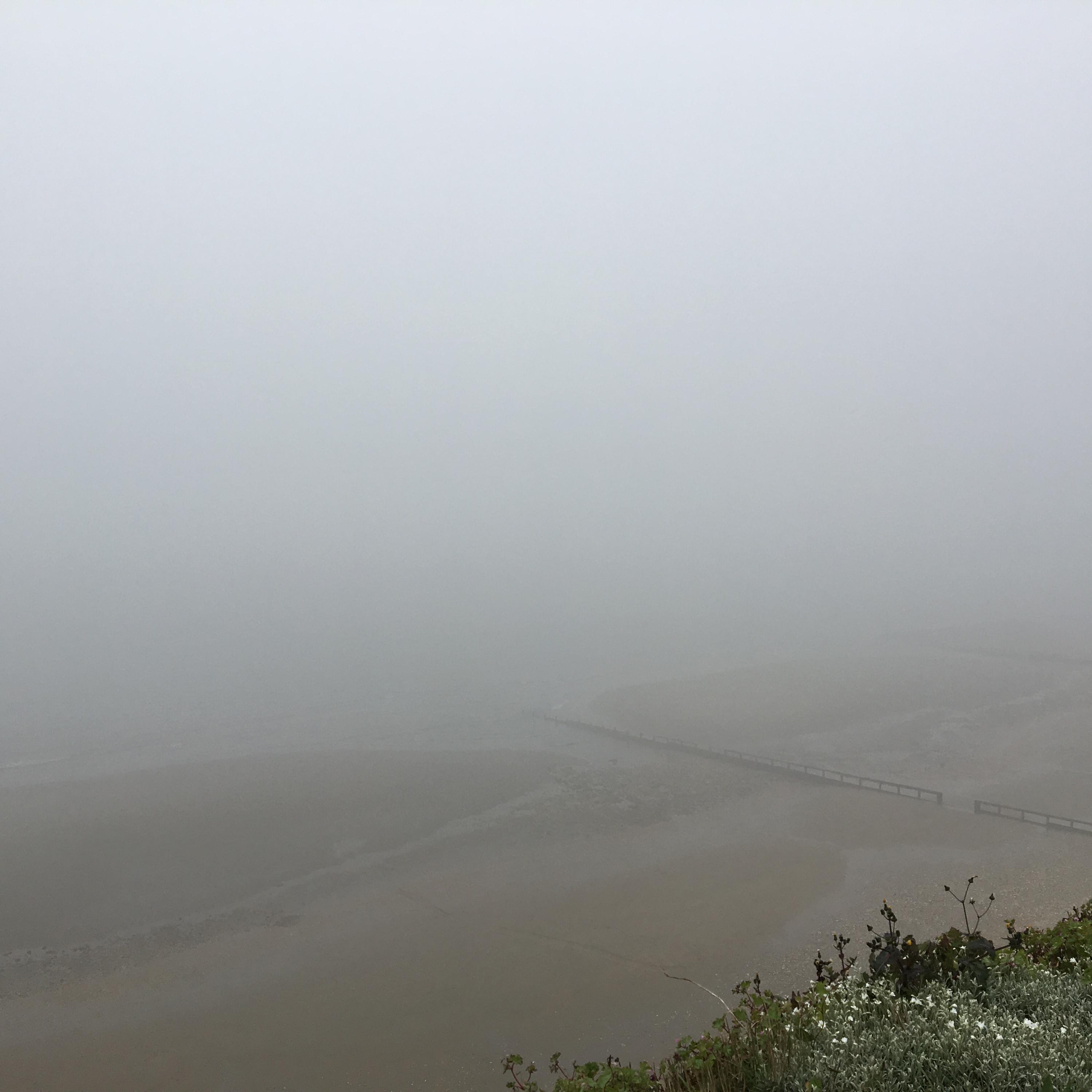 From the Crows Nest: 2019-05-20 -- Mists and Other Worlds