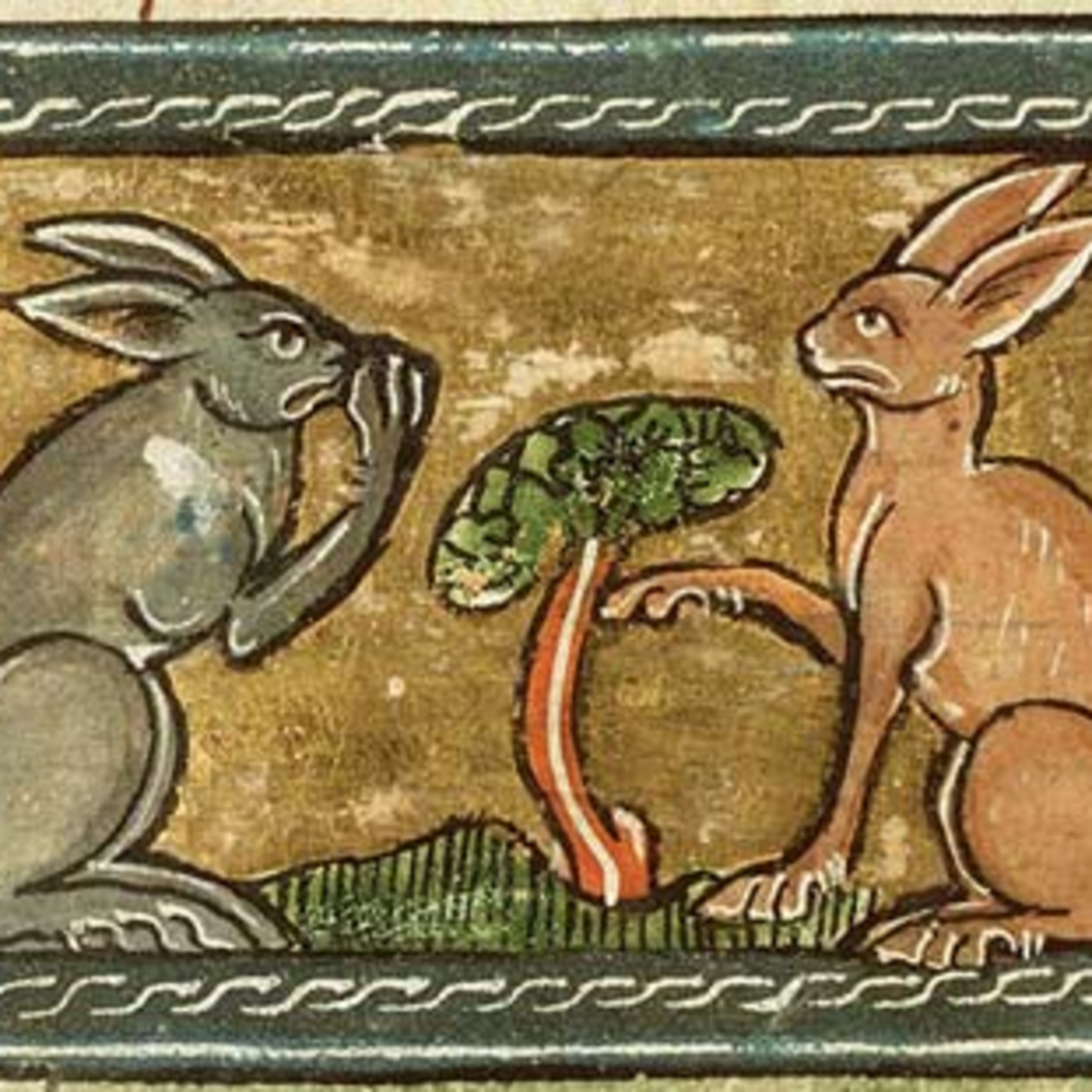 From the Crows Nest: 2019-07-04 -- Hares and their magical Isle of Wight life