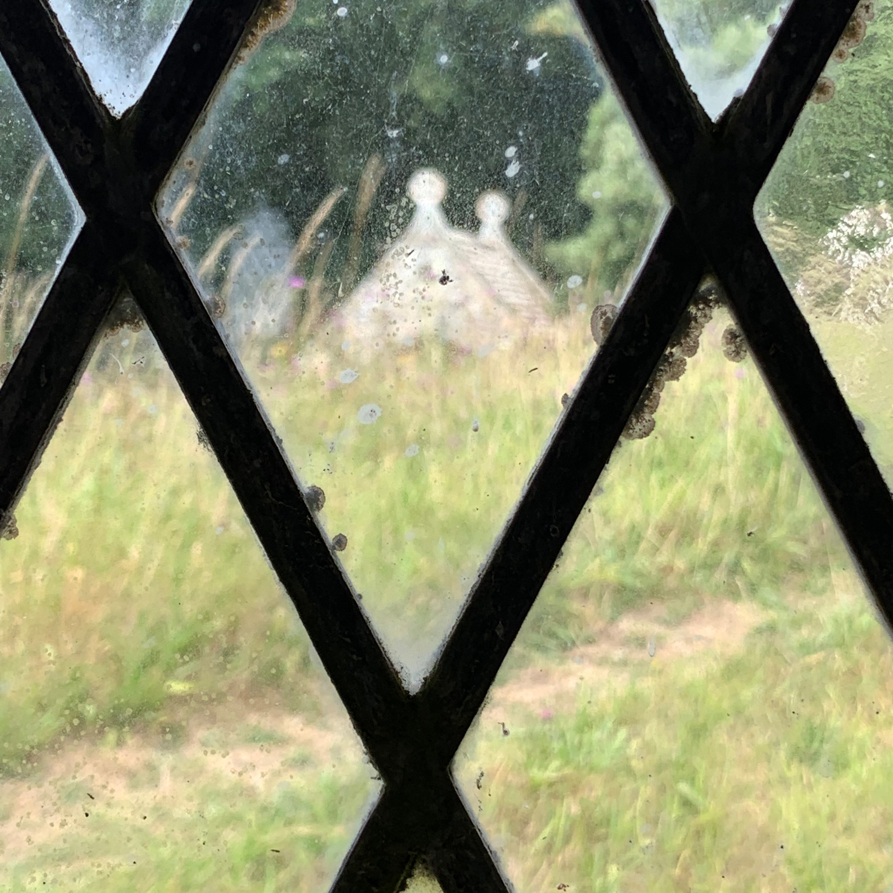 From the Crows Nest: 2019-08-01 -- Lammastide and Tree Lore from Mottistone episode artwork