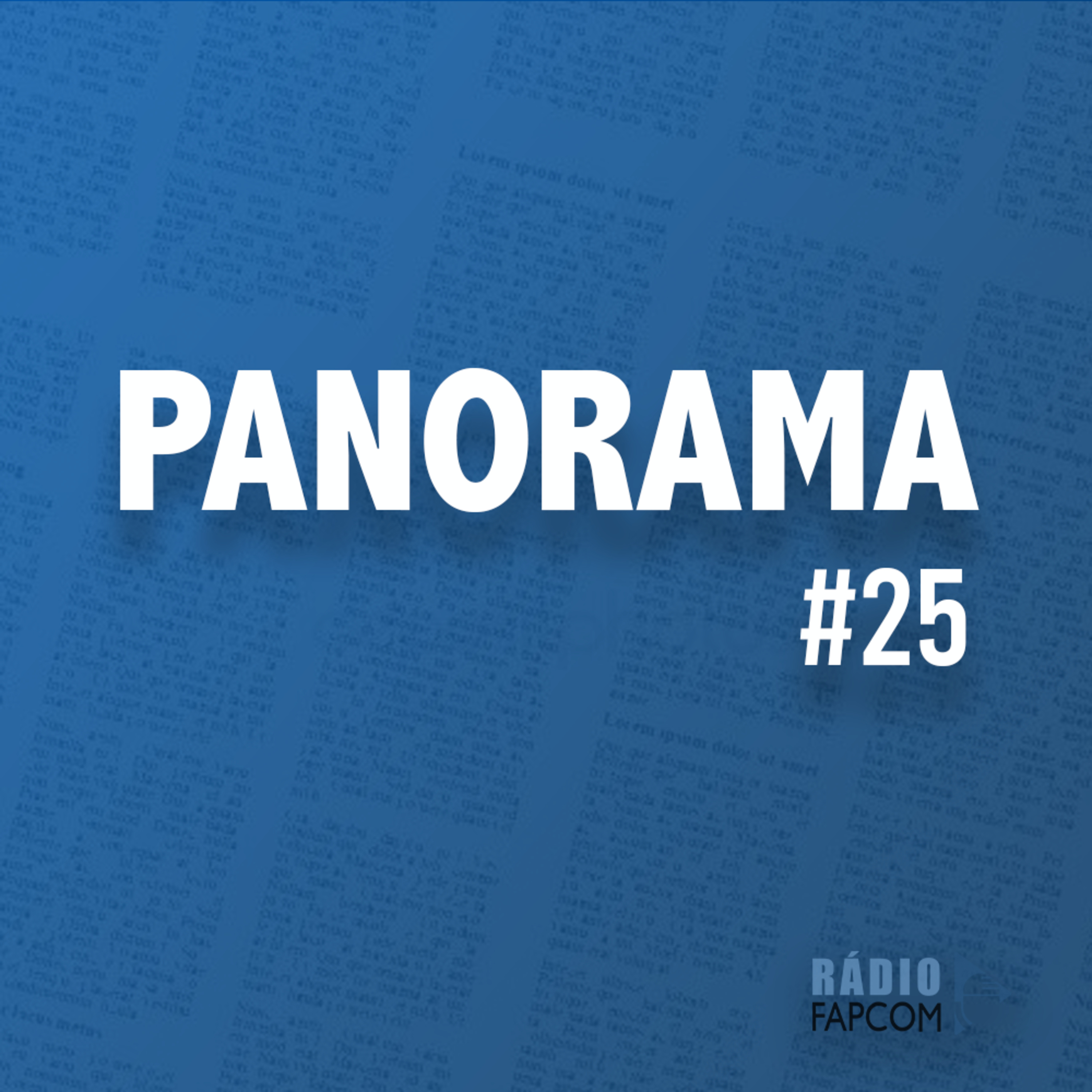 #25 Panorama episode artwork