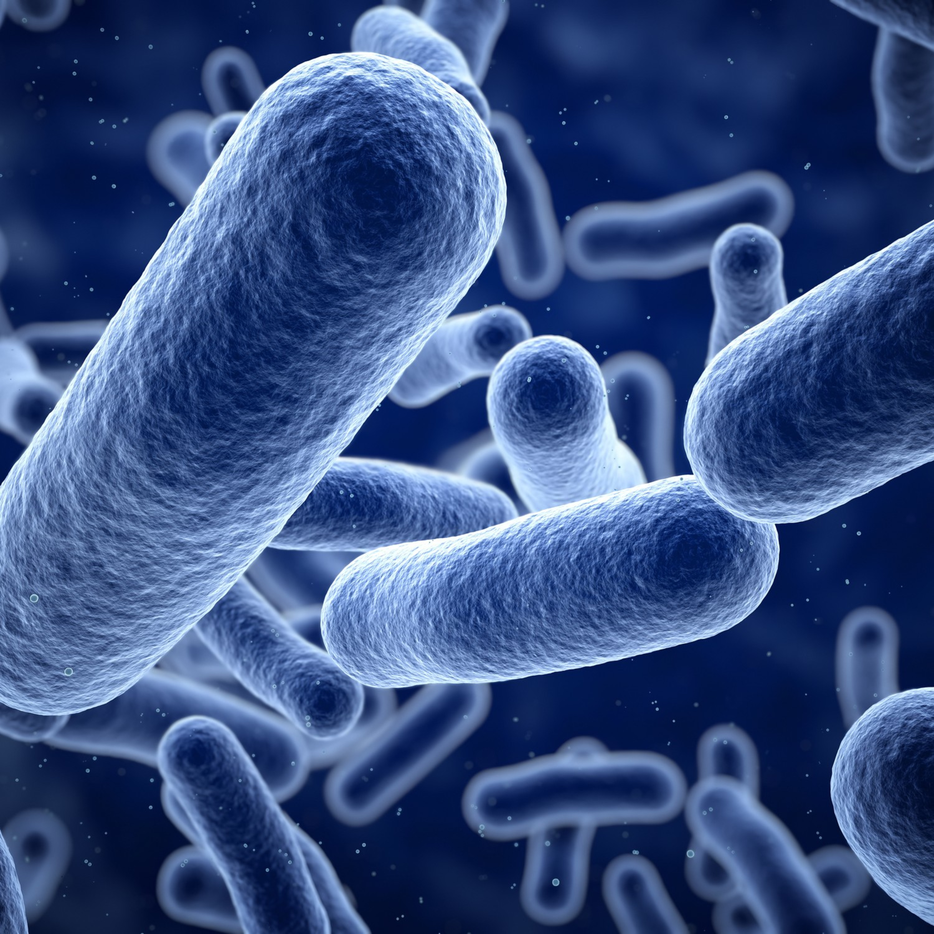 Resistência Bacteriana A3