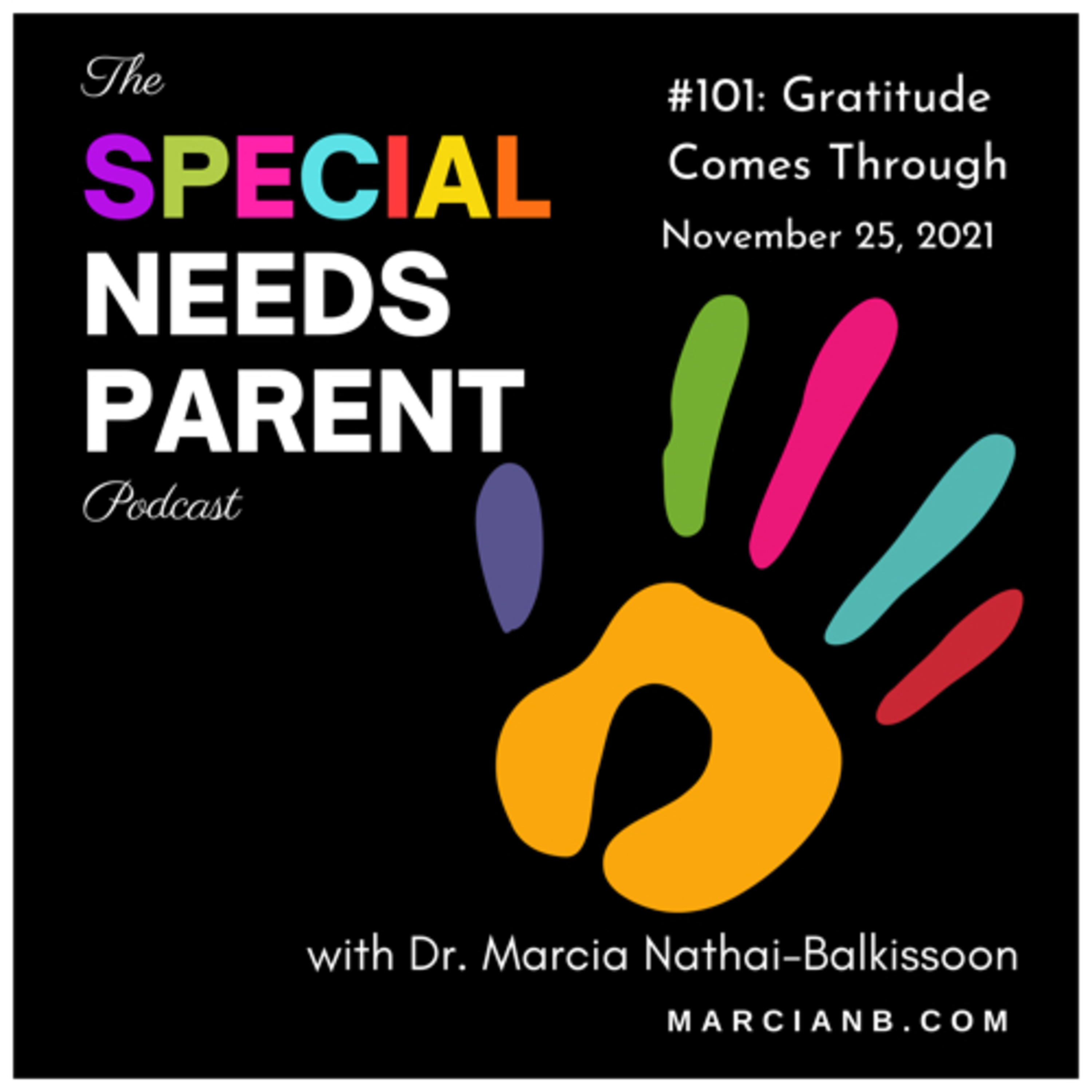 The Special Needs Parent Podcast