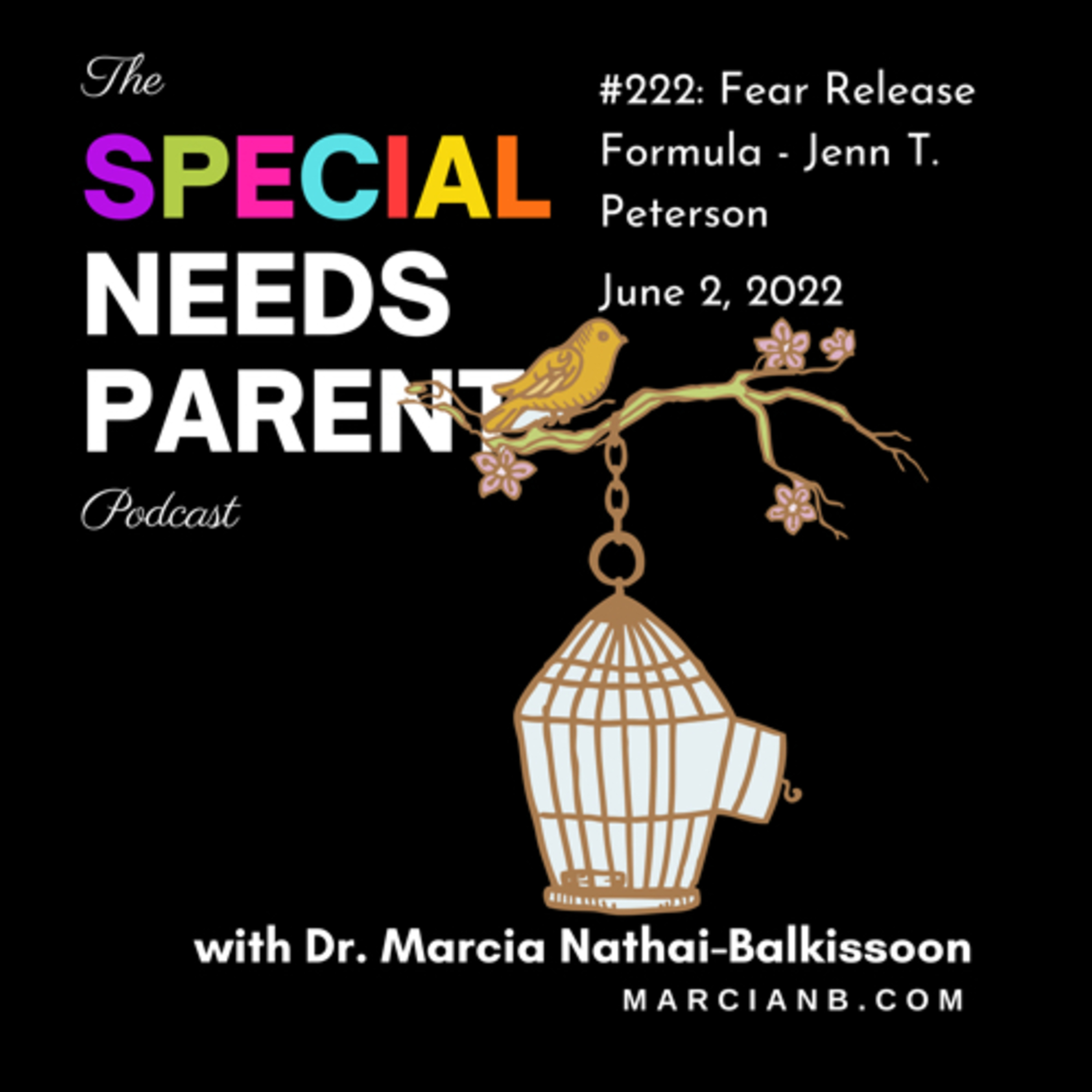 The Special Needs Parent Podcast