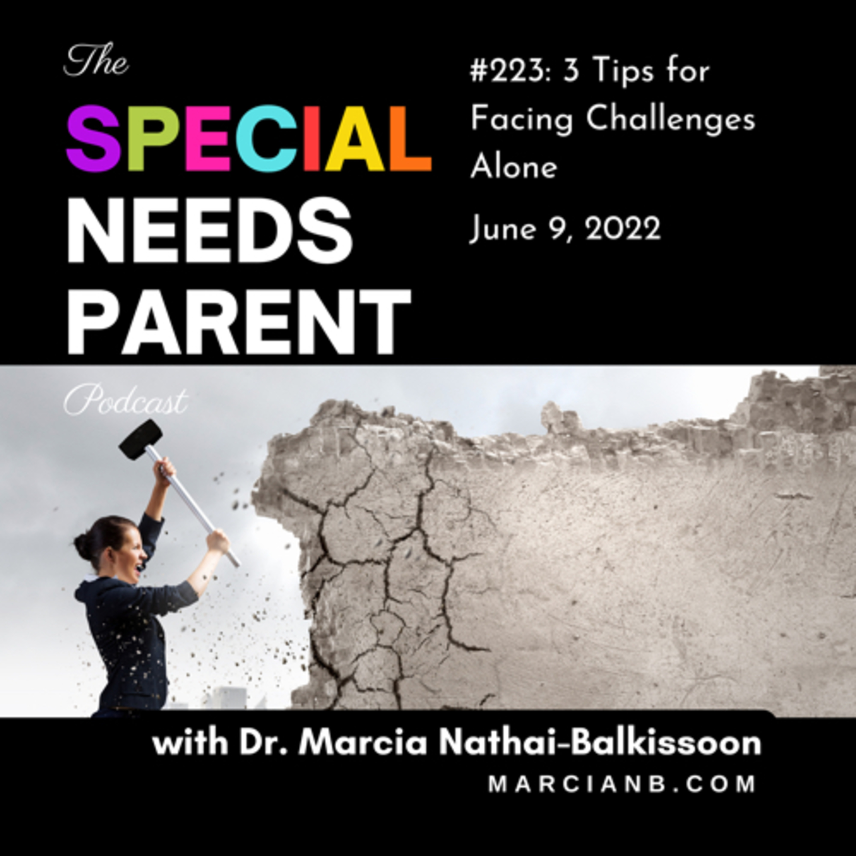The Special Needs Parent Podcast