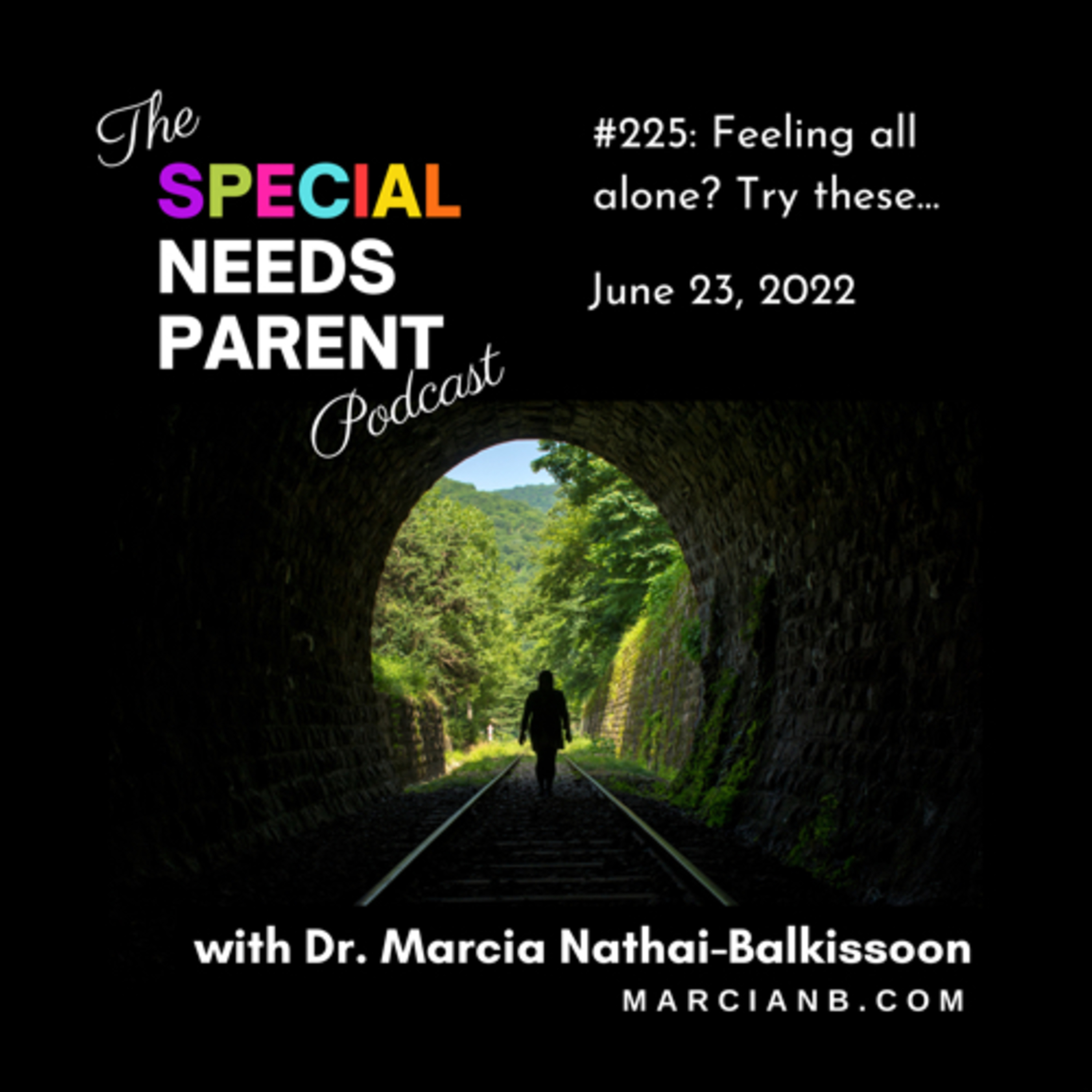 The Special Needs Parent Podcast