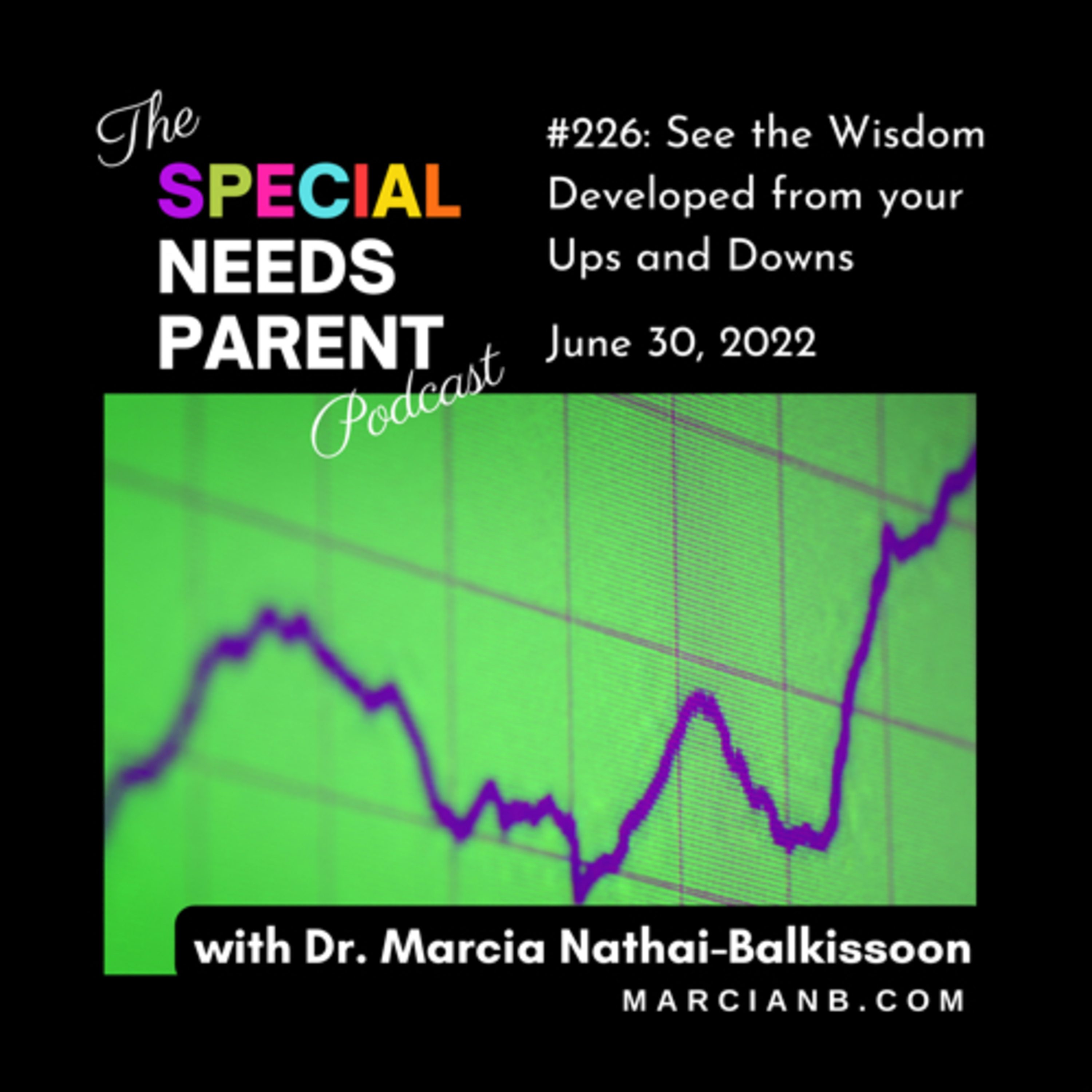 The Special Needs Parent Podcast