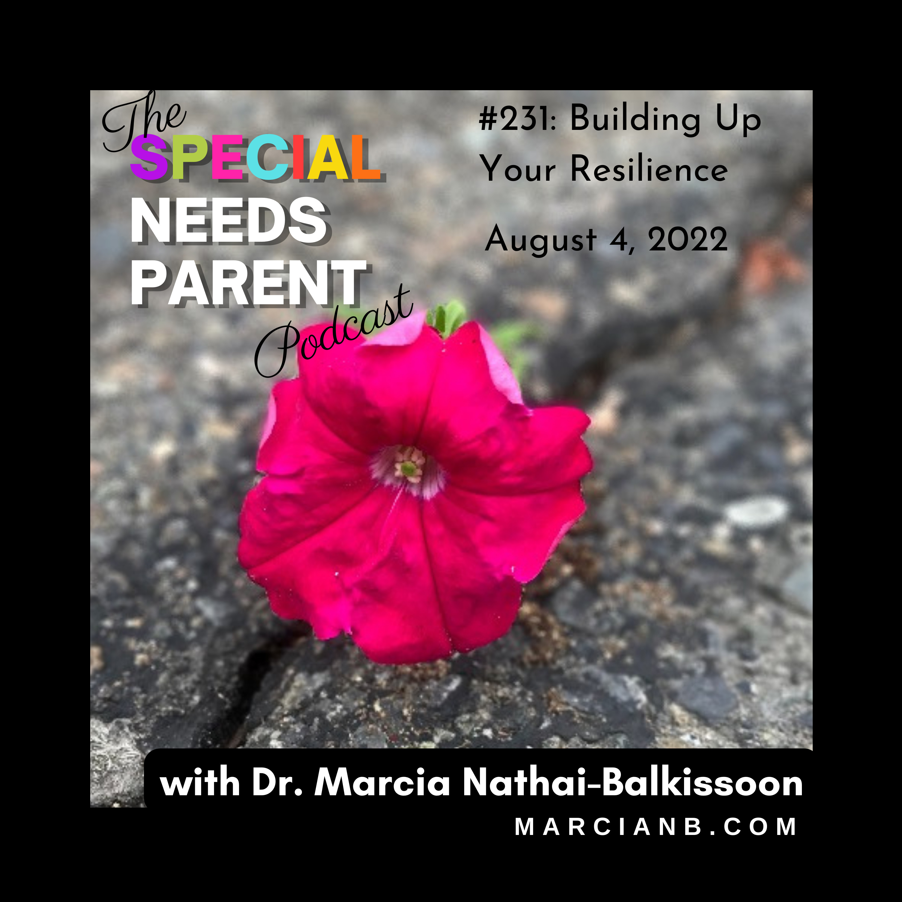The Special Needs Parent Podcast