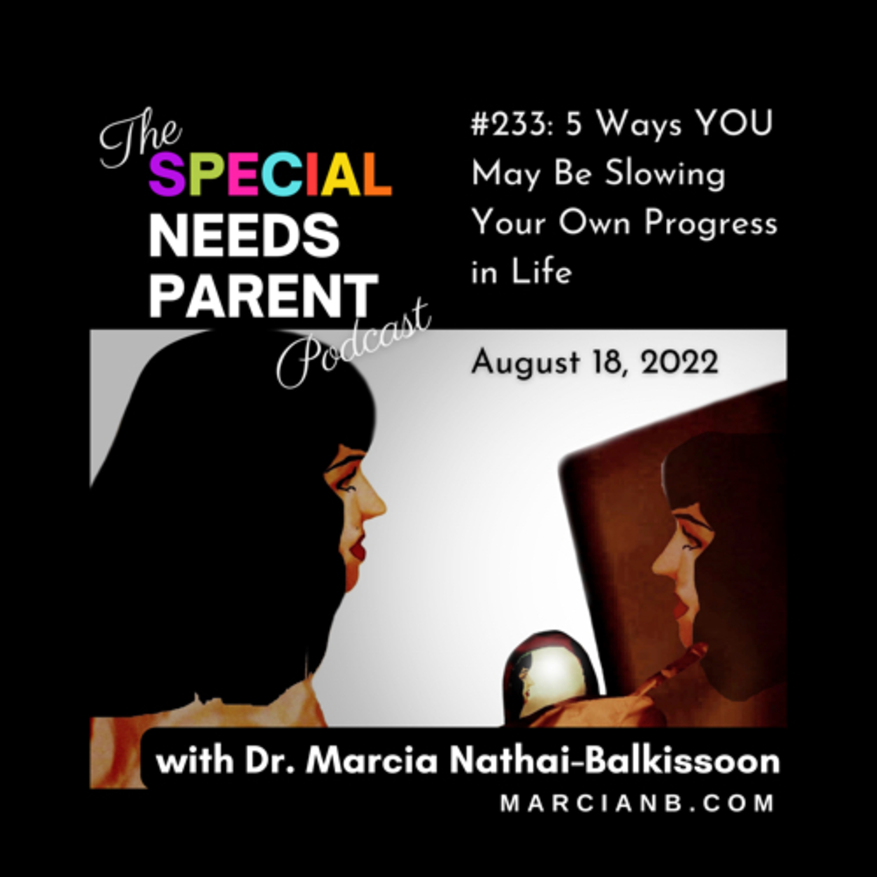 The Special Needs Parent Podcast