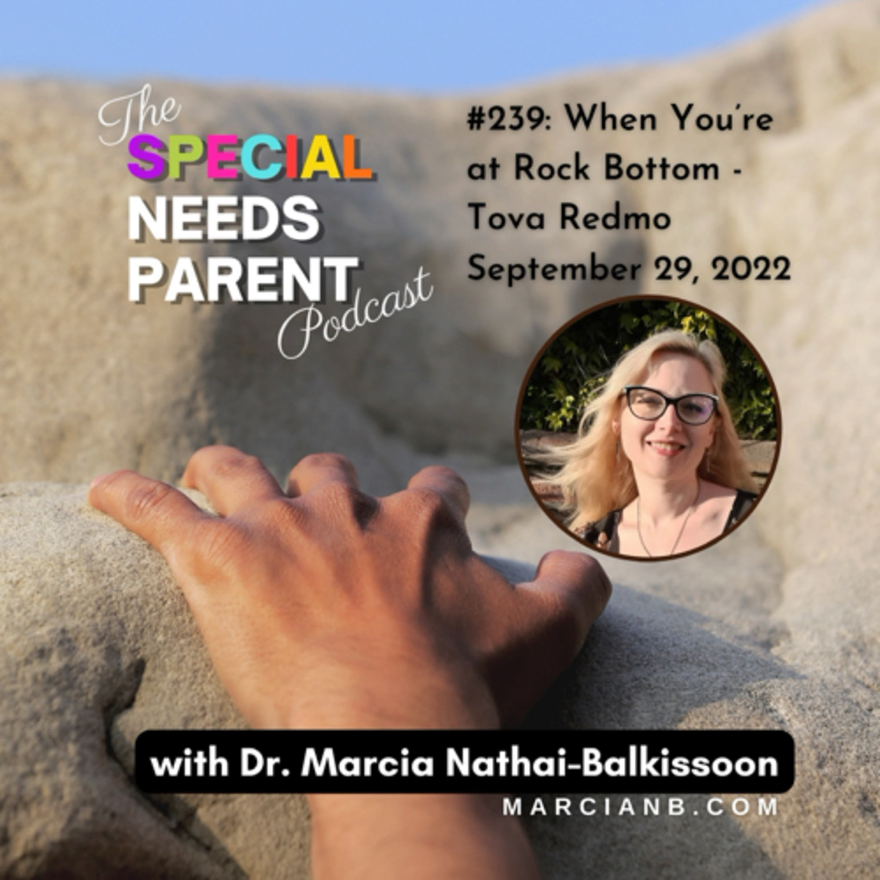 The Special Needs Parent Podcast