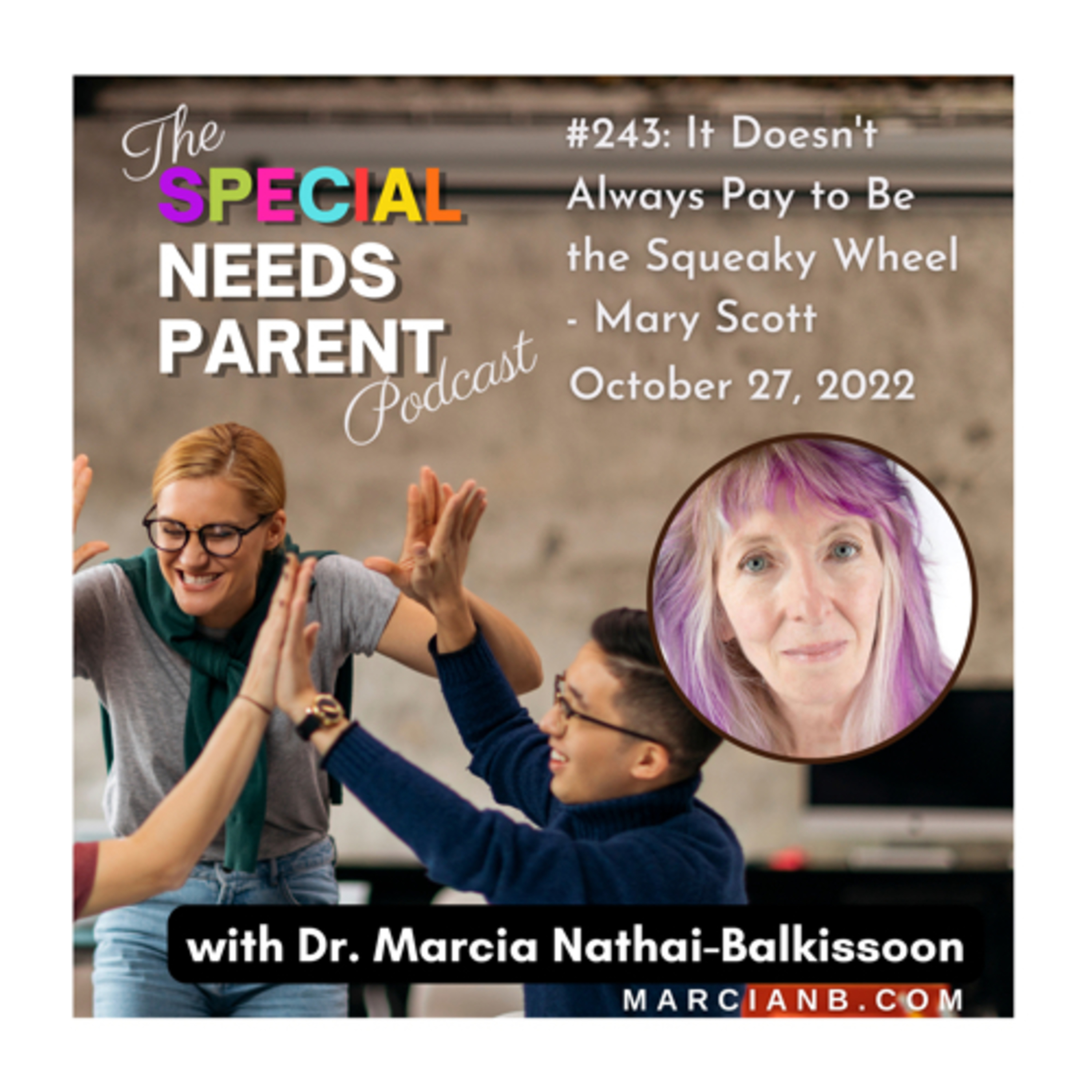 The Special Needs Parent Podcast