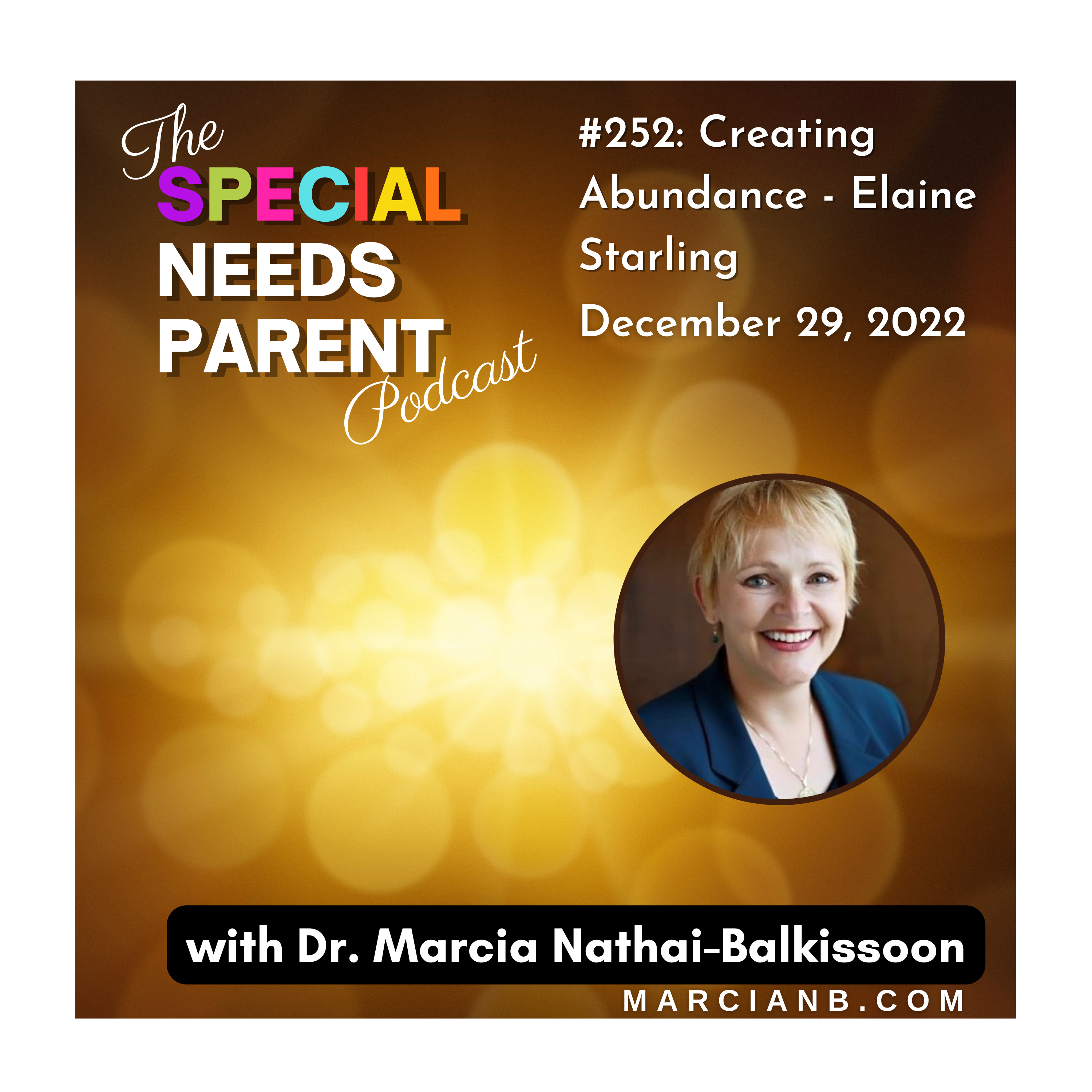 The Special Needs Parent Podcast
