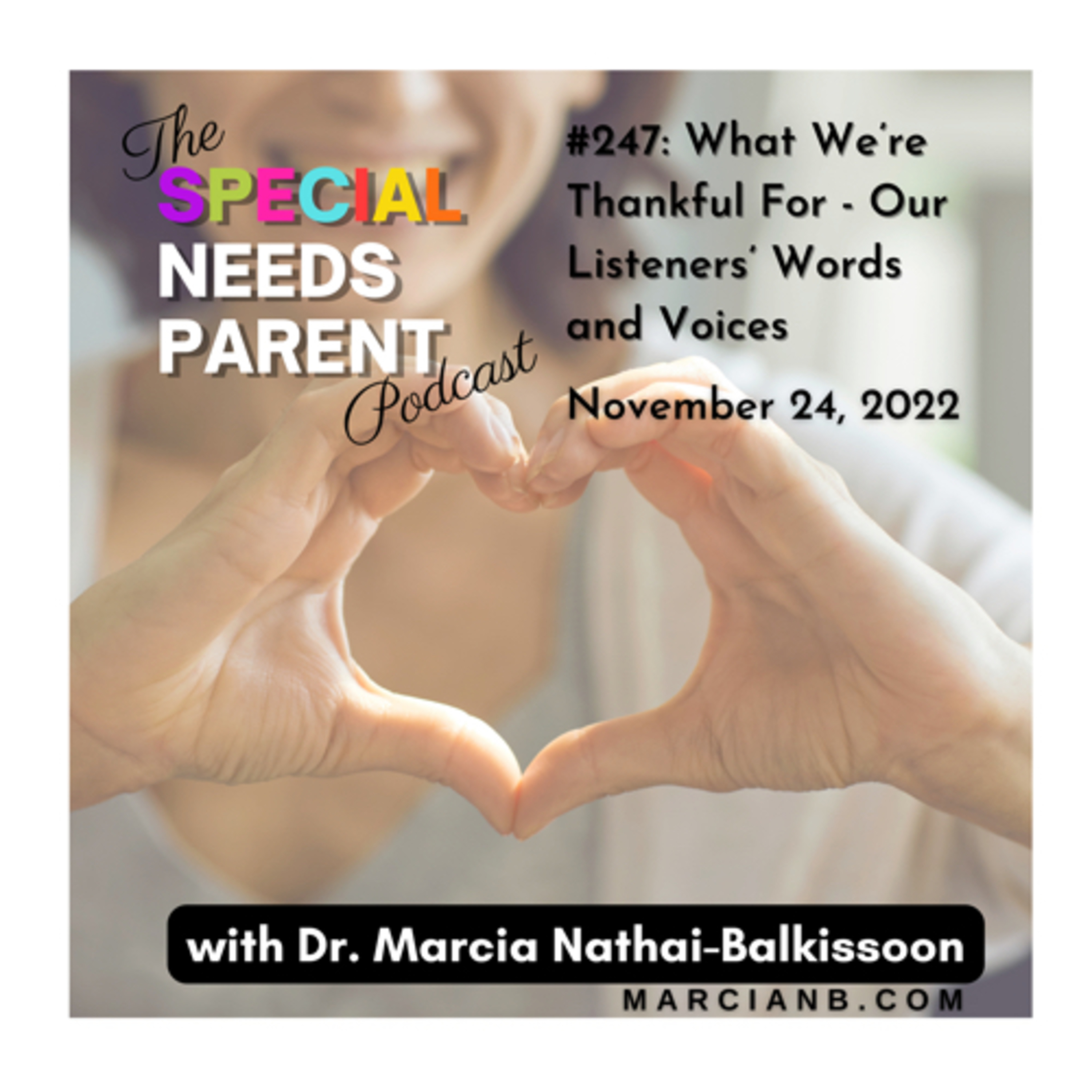 The Special Needs Parent Podcast