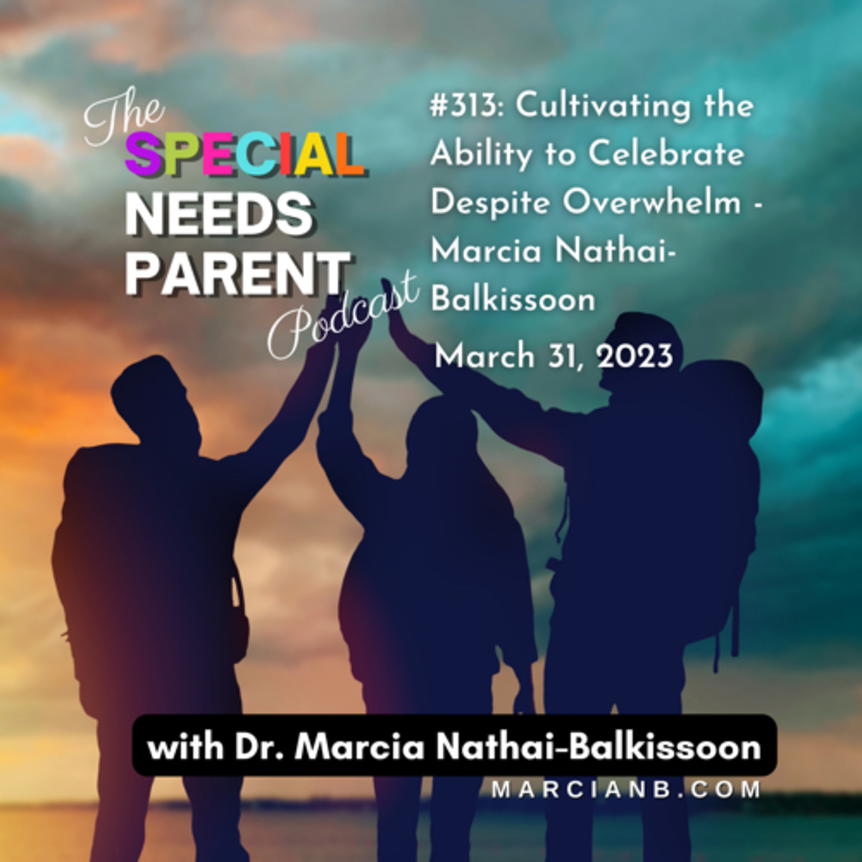 The Special Needs Parent Podcast