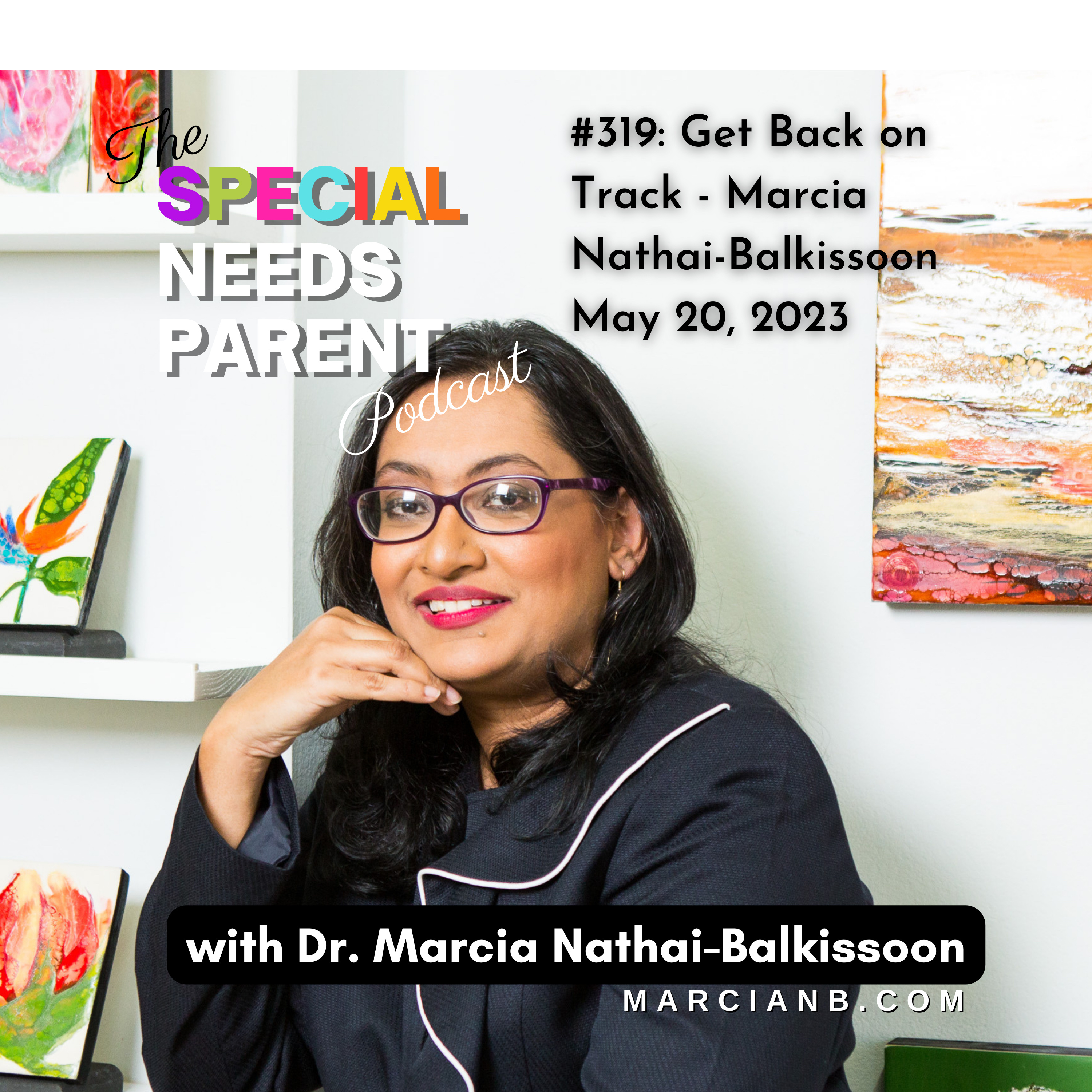 The Special Needs Parent Podcast
