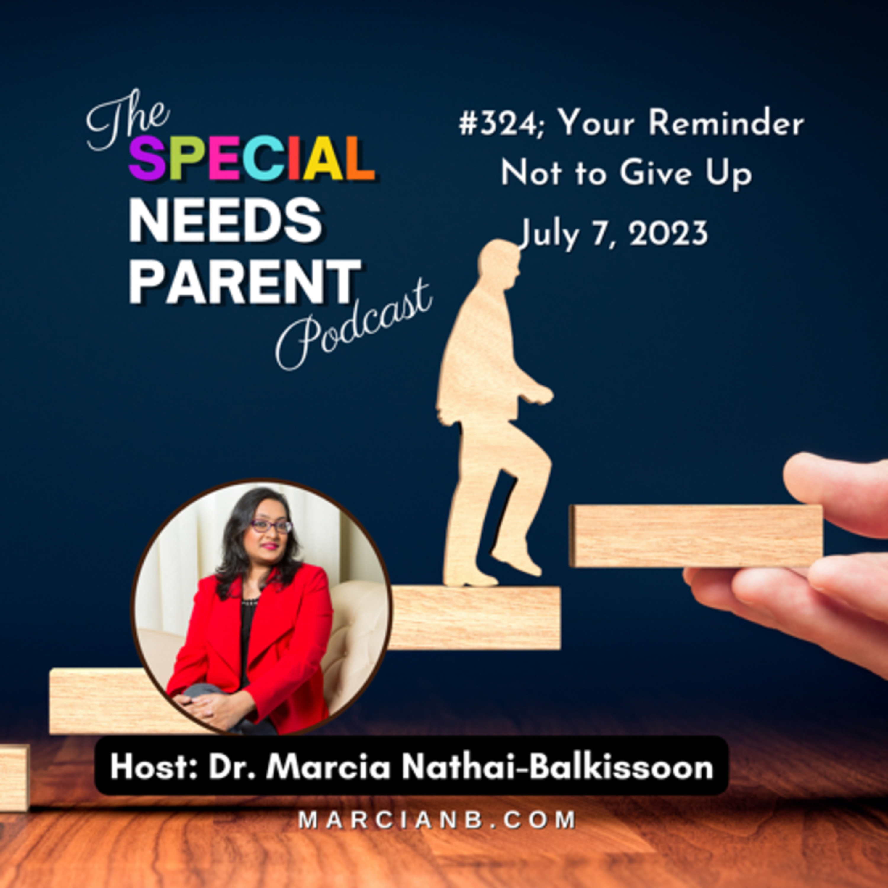 The Special Needs Parent Podcast