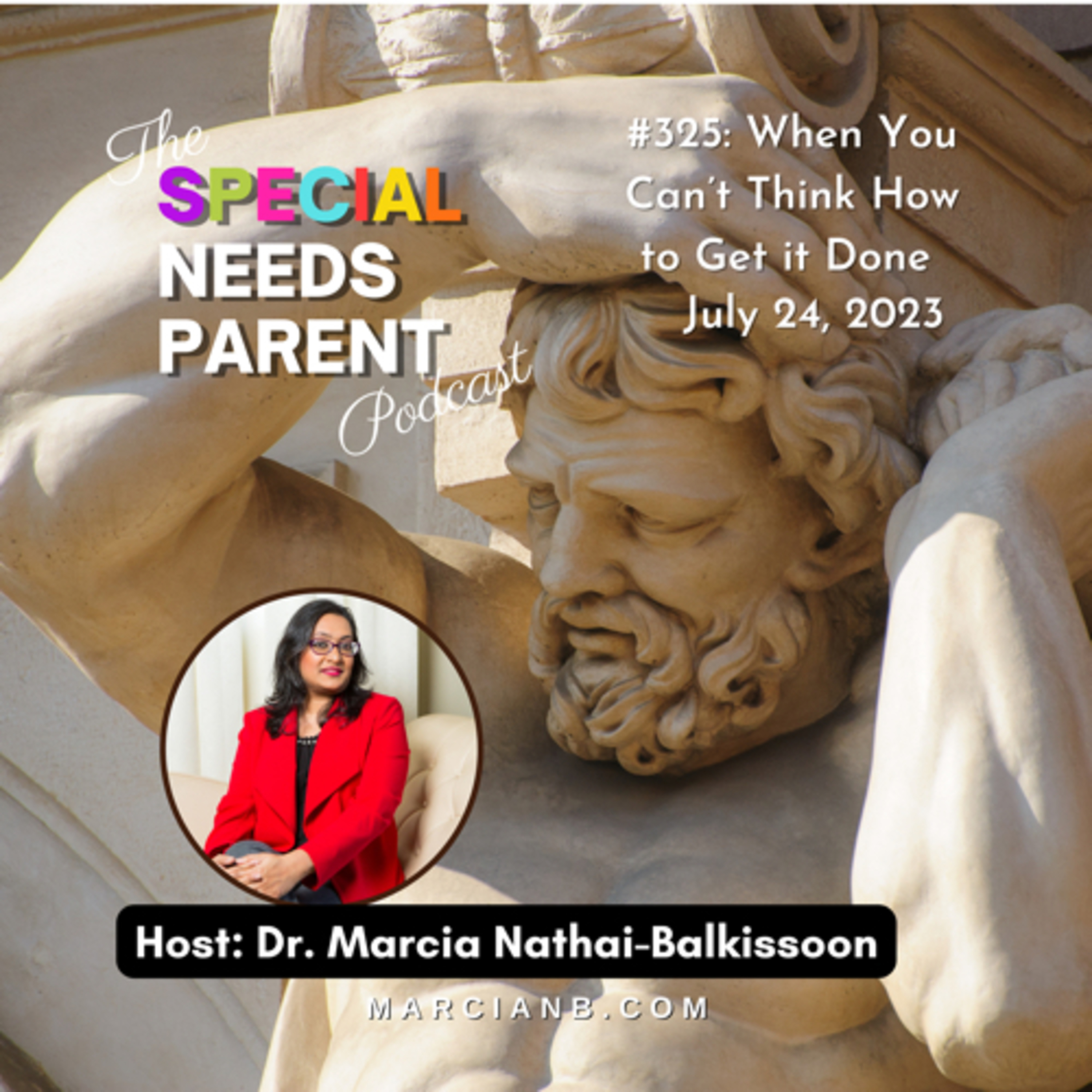 The Special Needs Parent Podcast