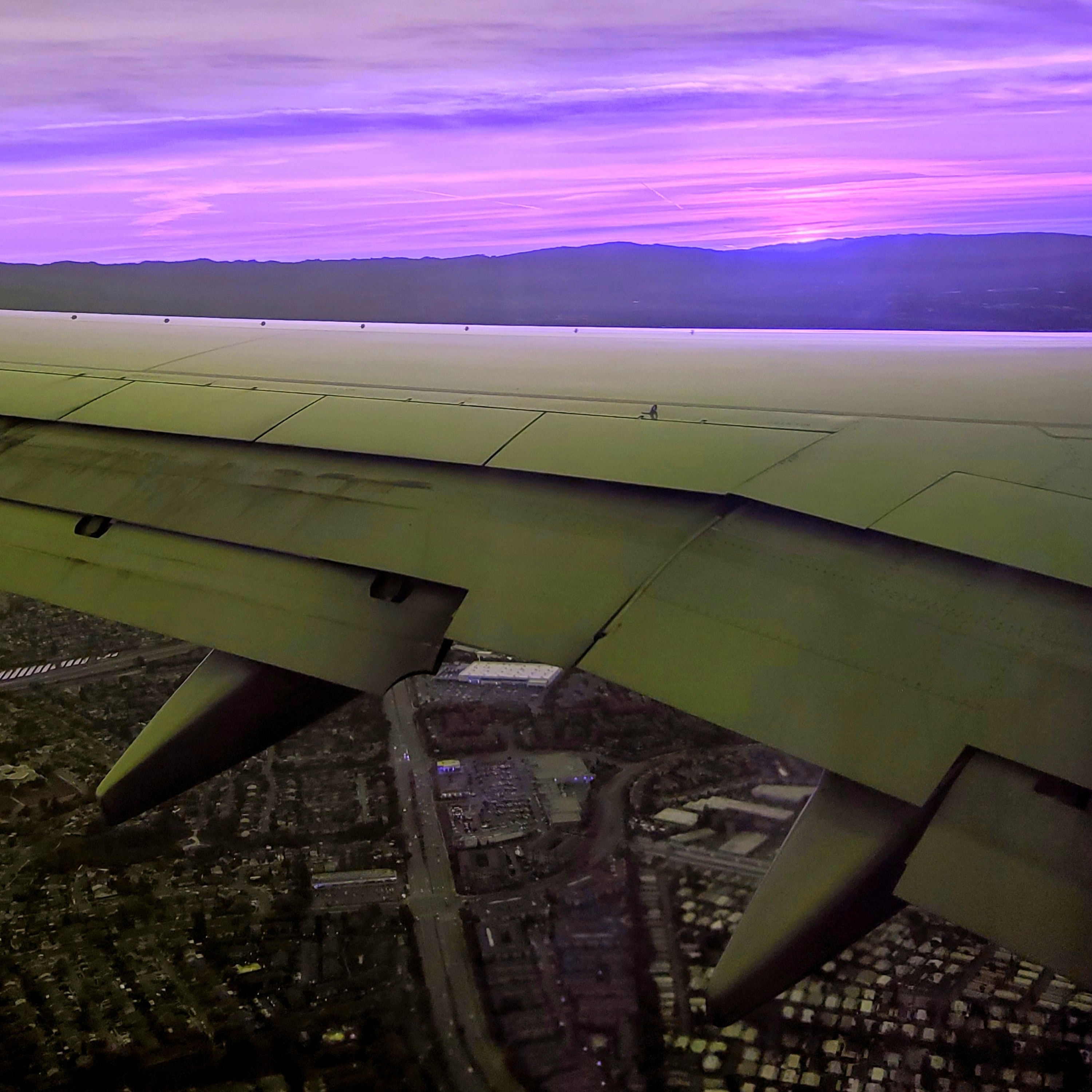 The Social Introvert