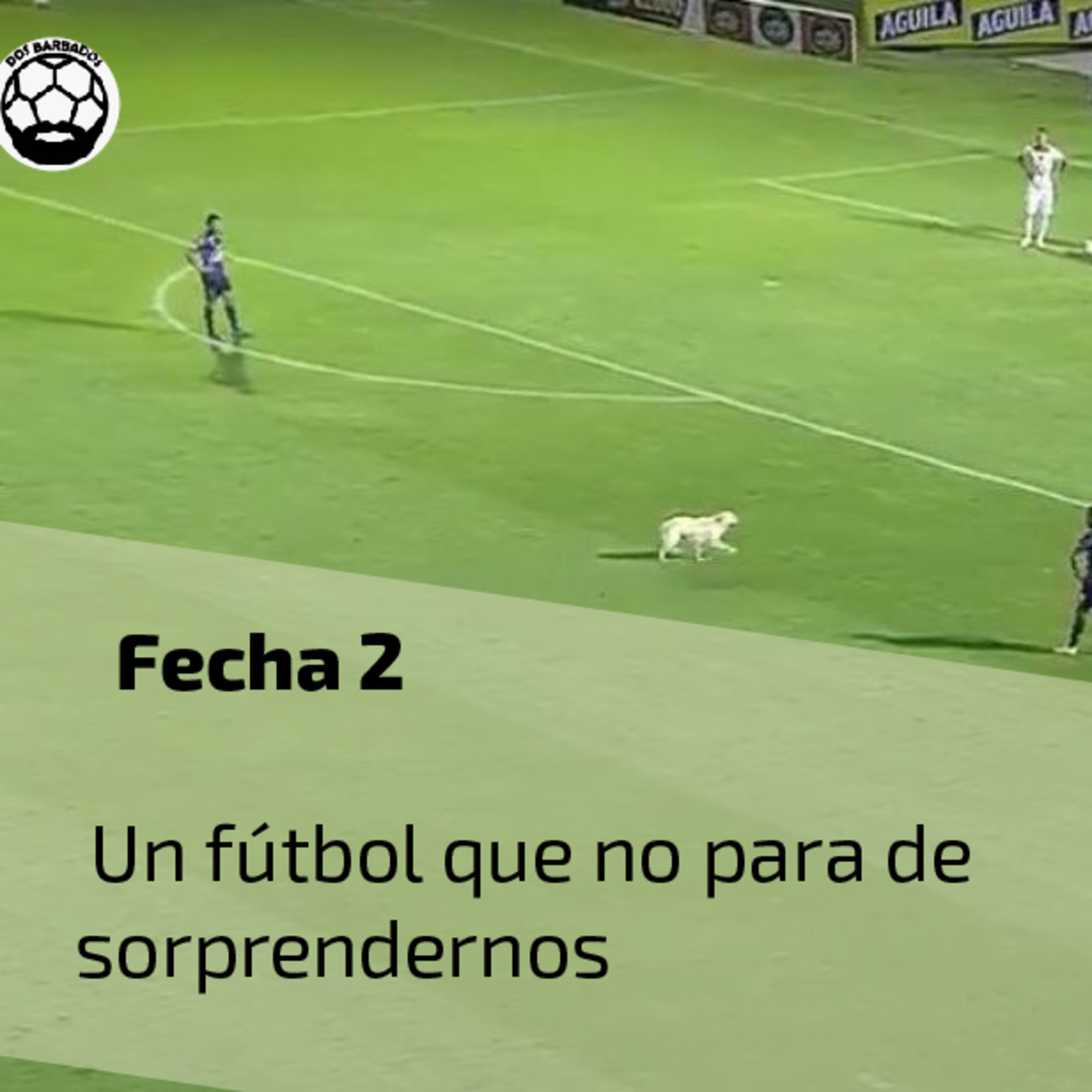 Dos Barbados Hablando de Fútbol