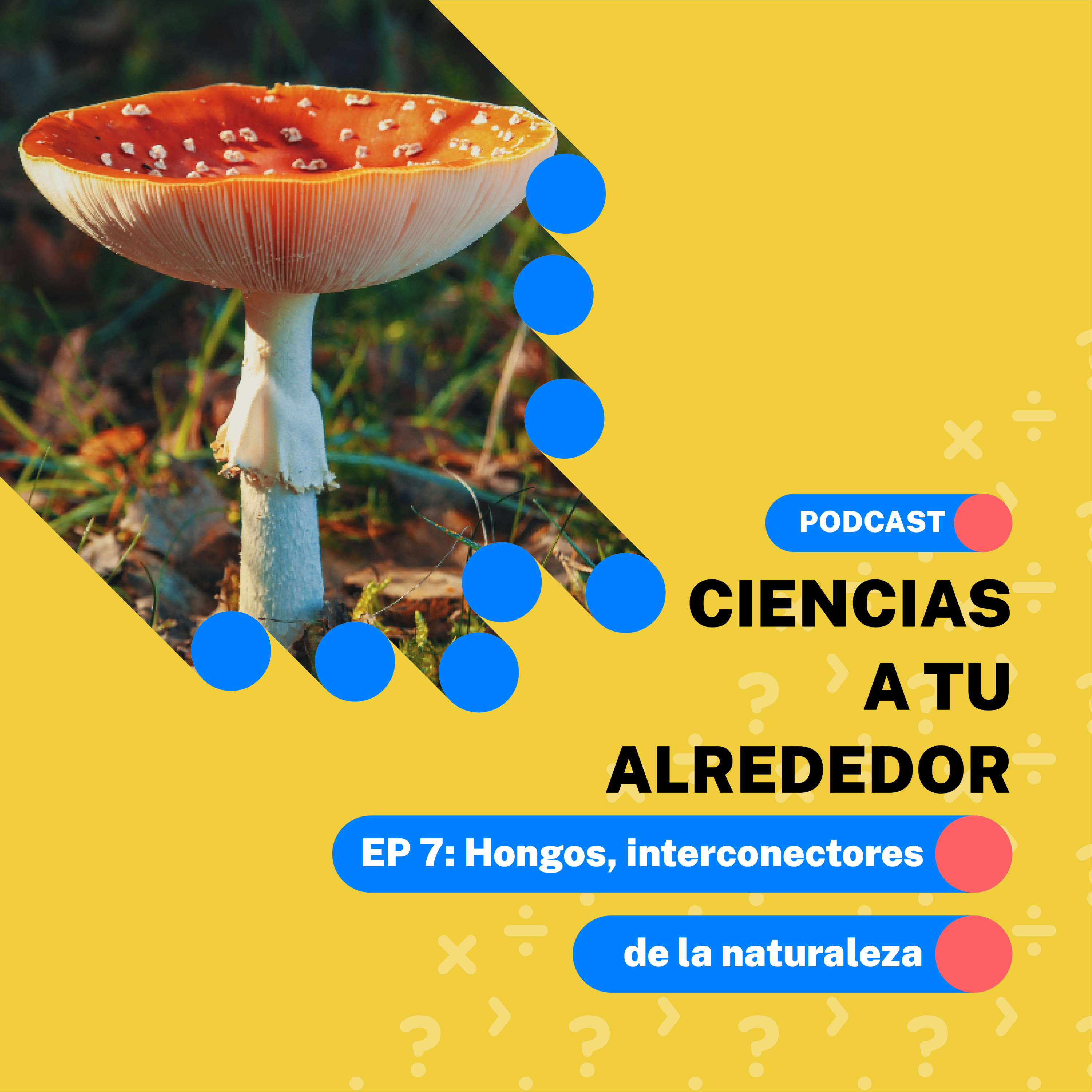 Ciencias a tu alrededor