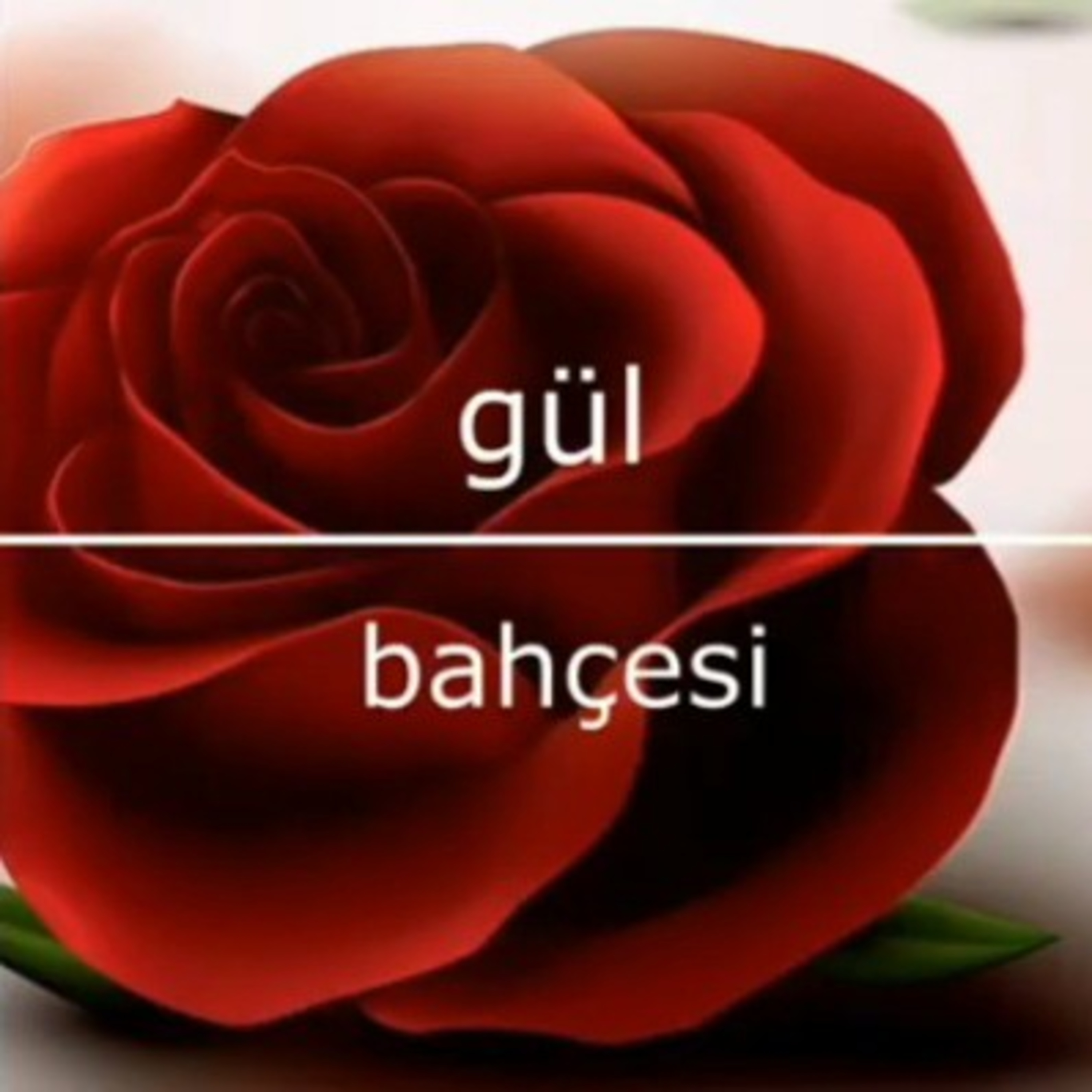 Yazdıklarımı okudum
