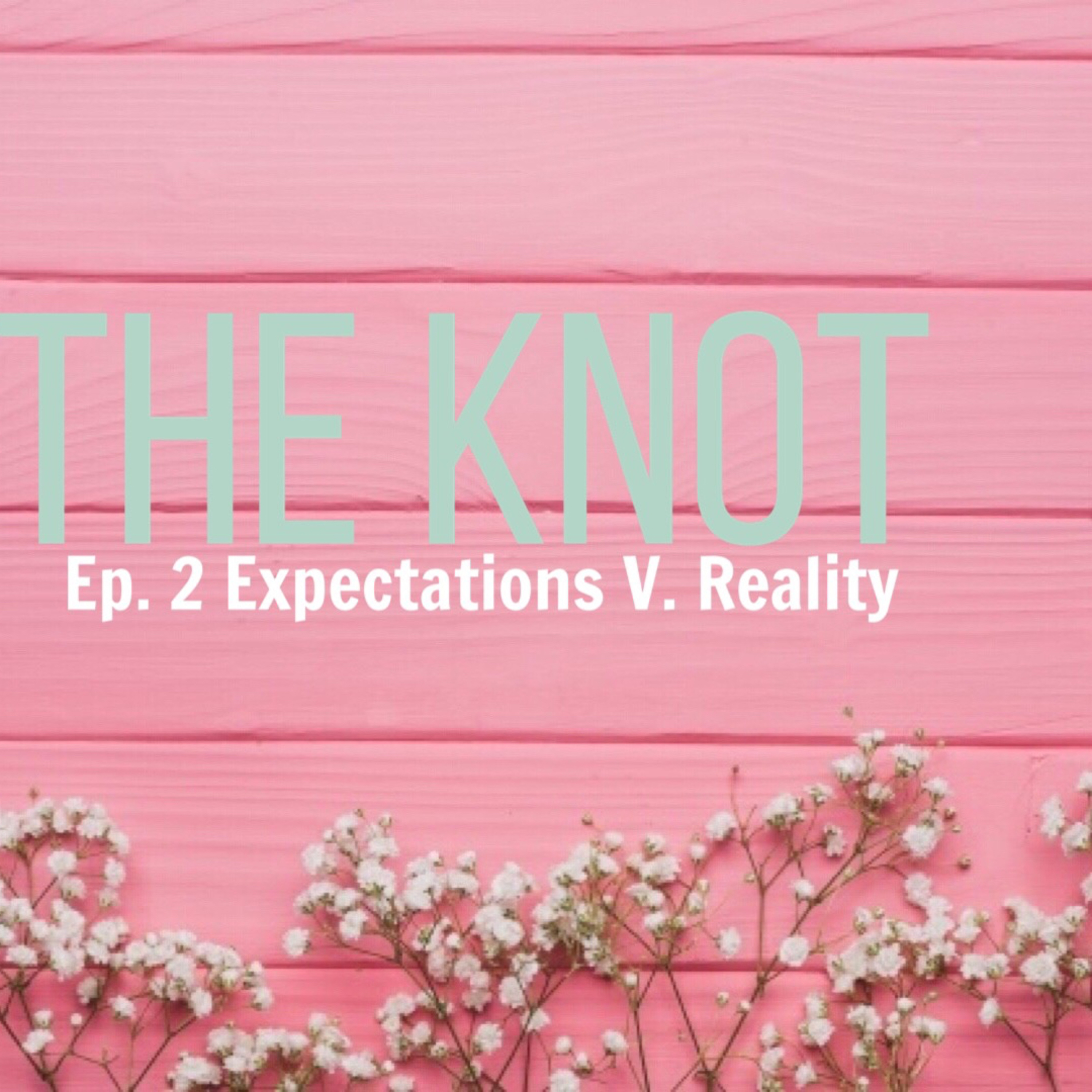 Ep. 2 Expectations V. Reality