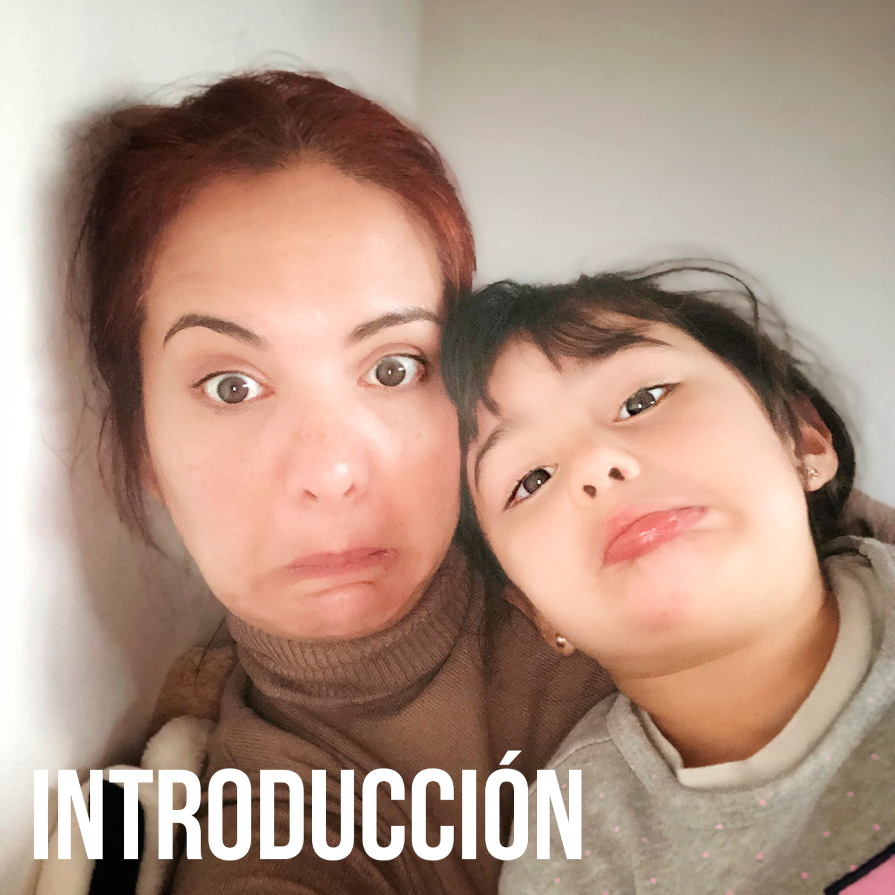 Introducción: de qué se trata esto