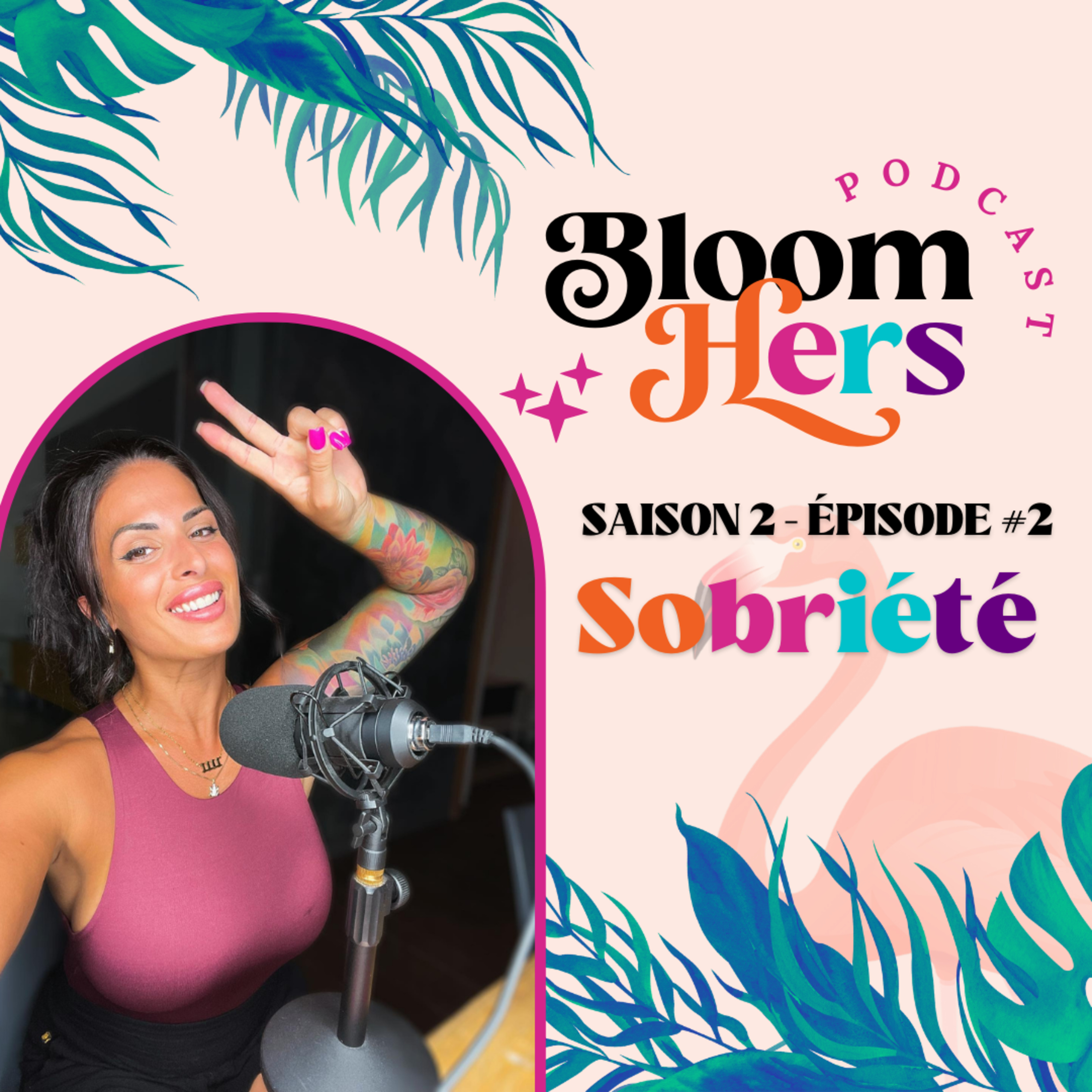 #13 - LA SOBRIÉTÉ - MON HISTOIRE ET MES TRUCS episode artwork
