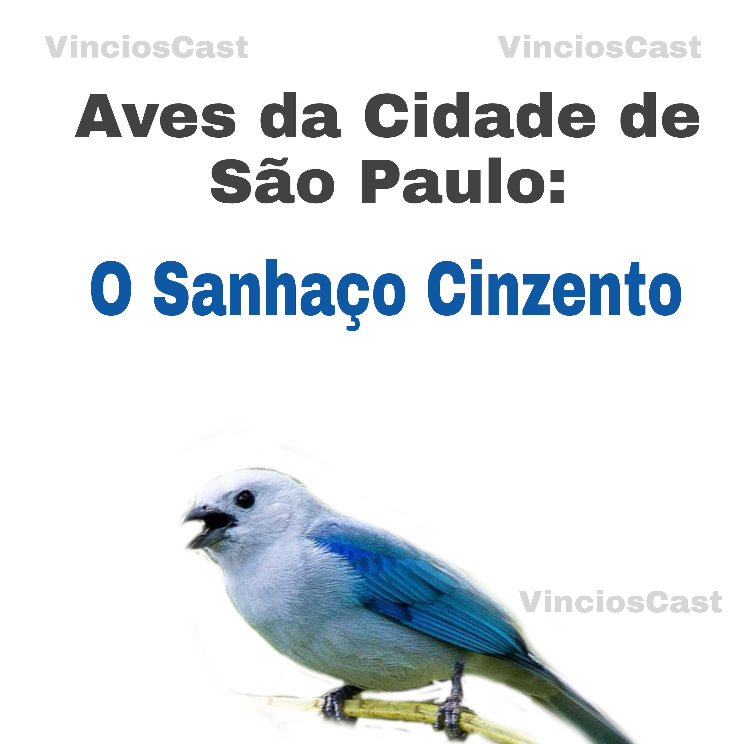 VinciosCast