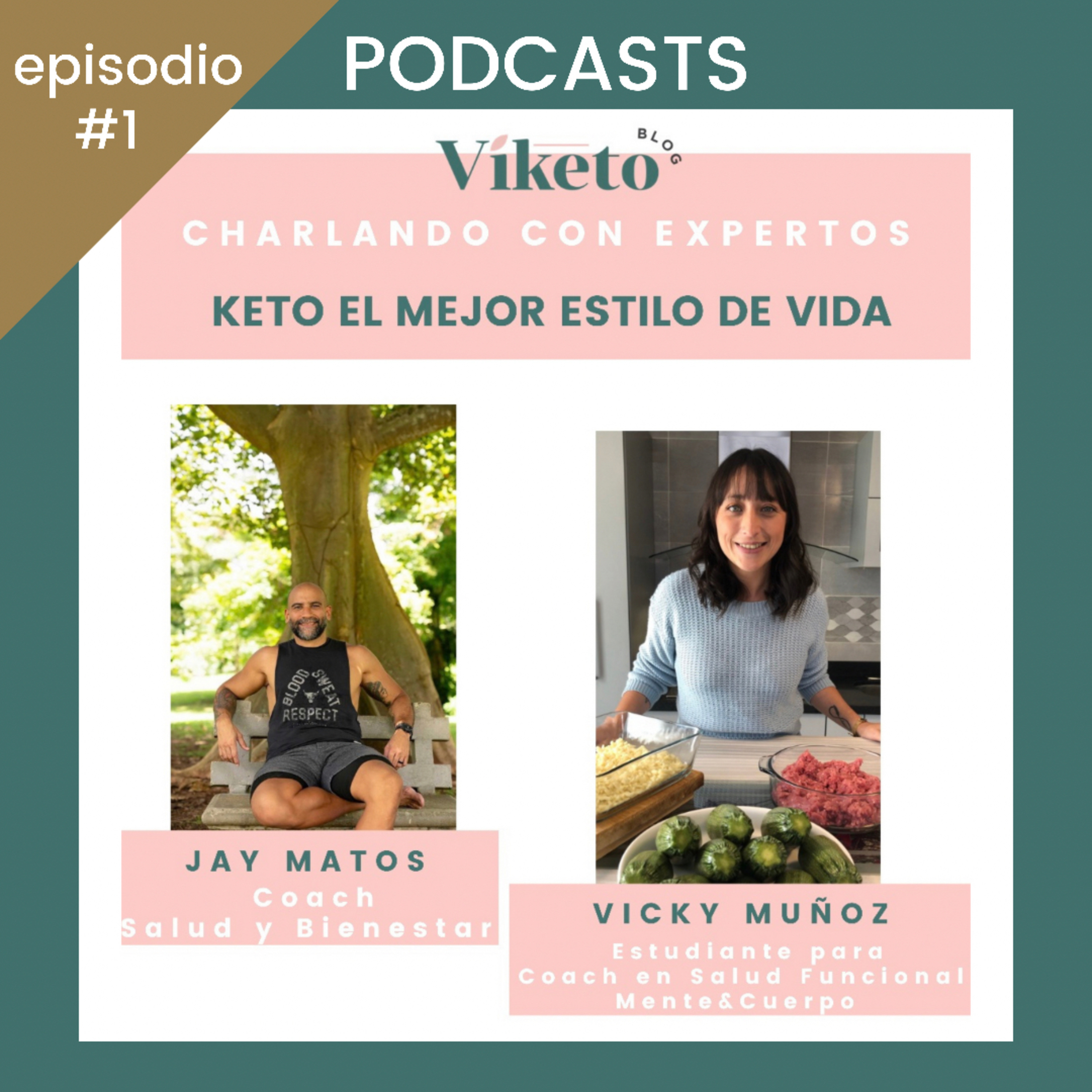 Viketo “Charlando con Expertos”