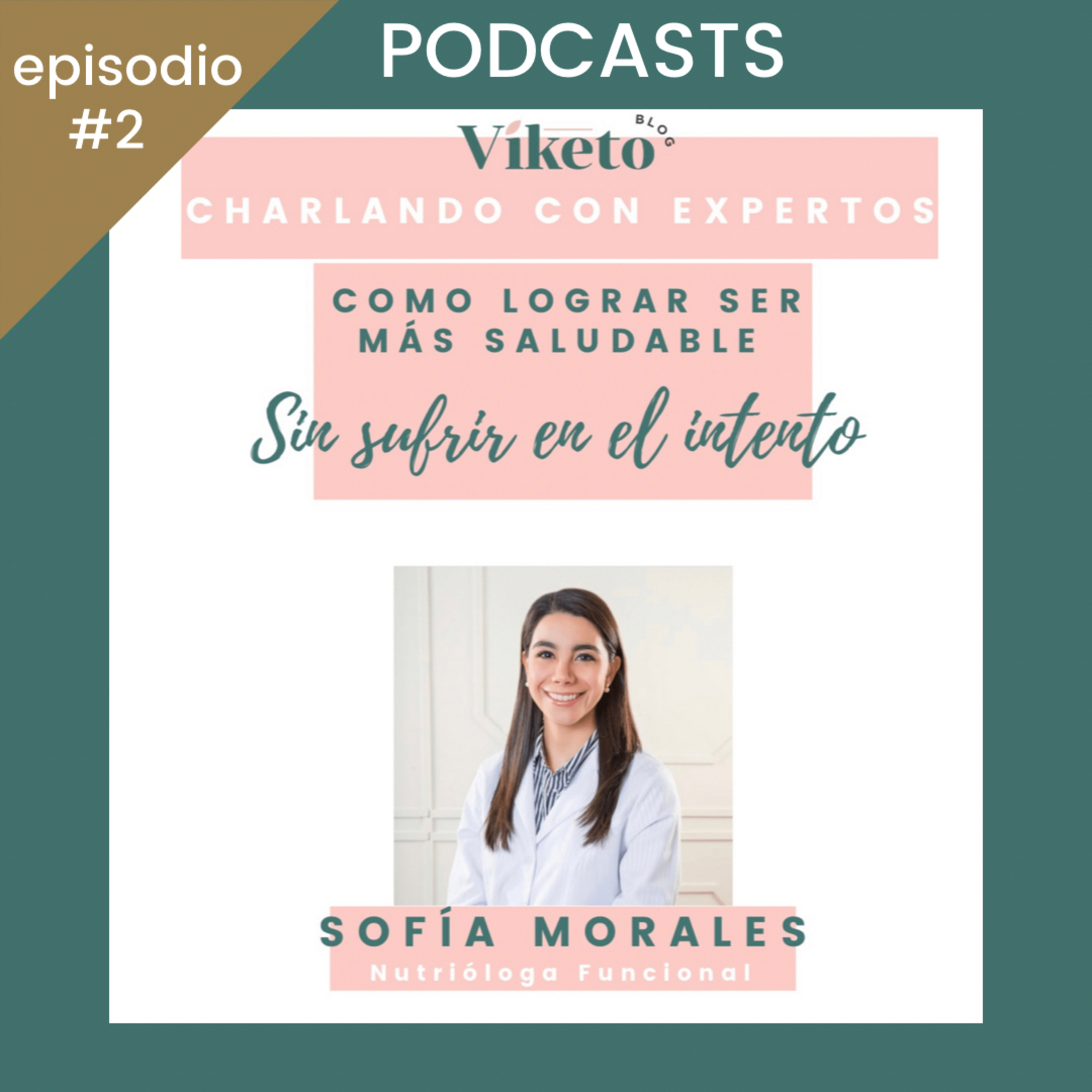 Viketo “Charlando con Expertos”
