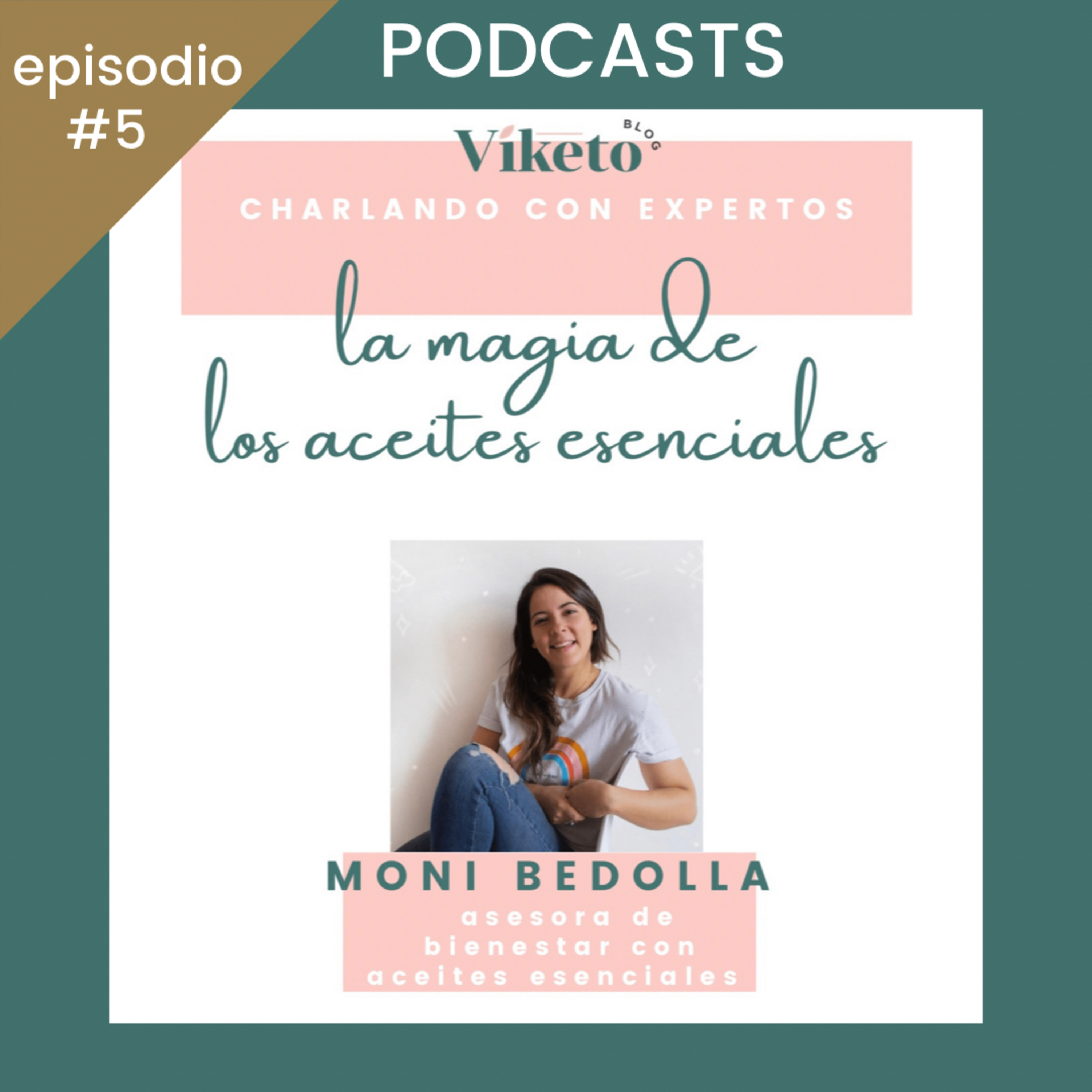 Viketo “Charlando con Expertos”