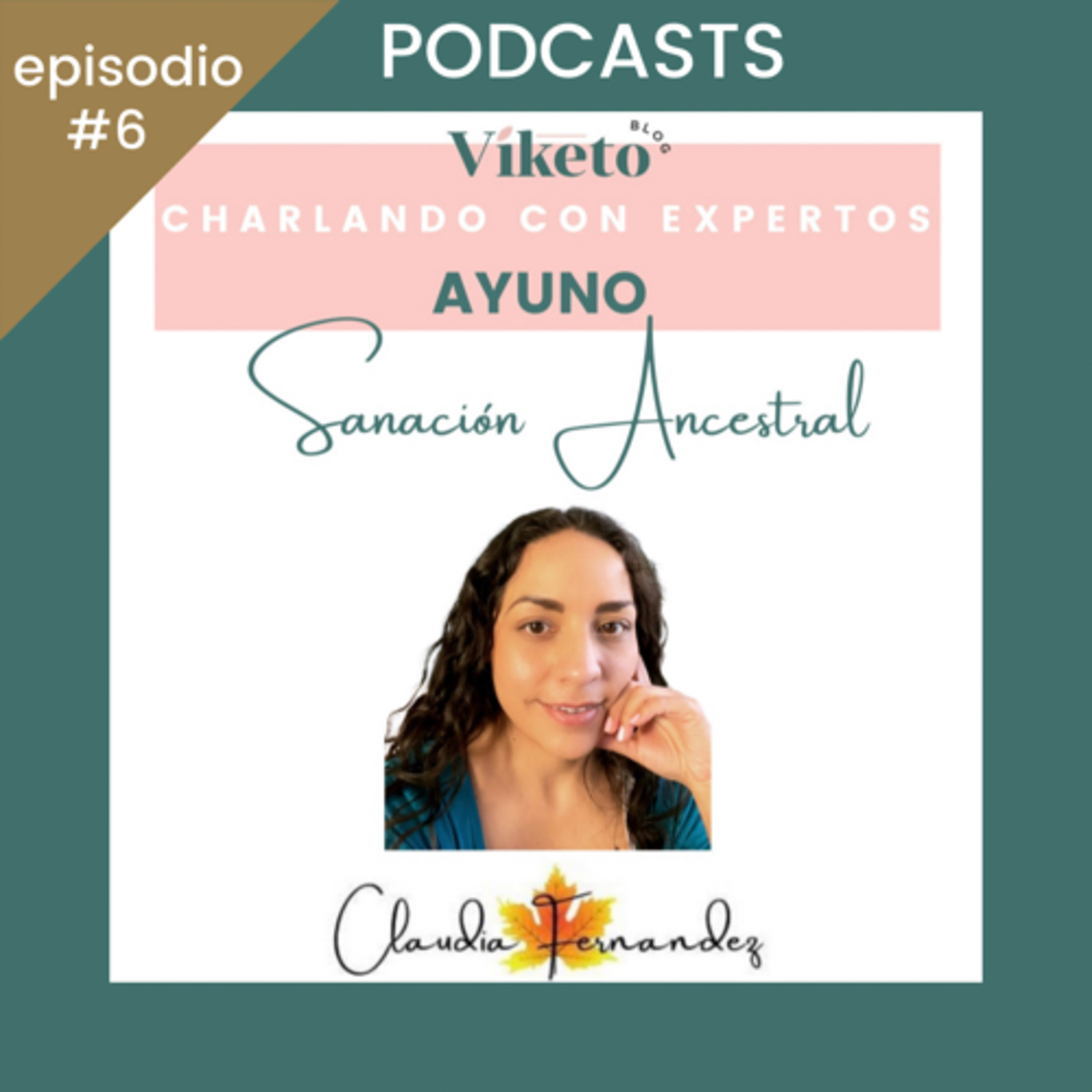 Viketo “Charlando con Expertos”