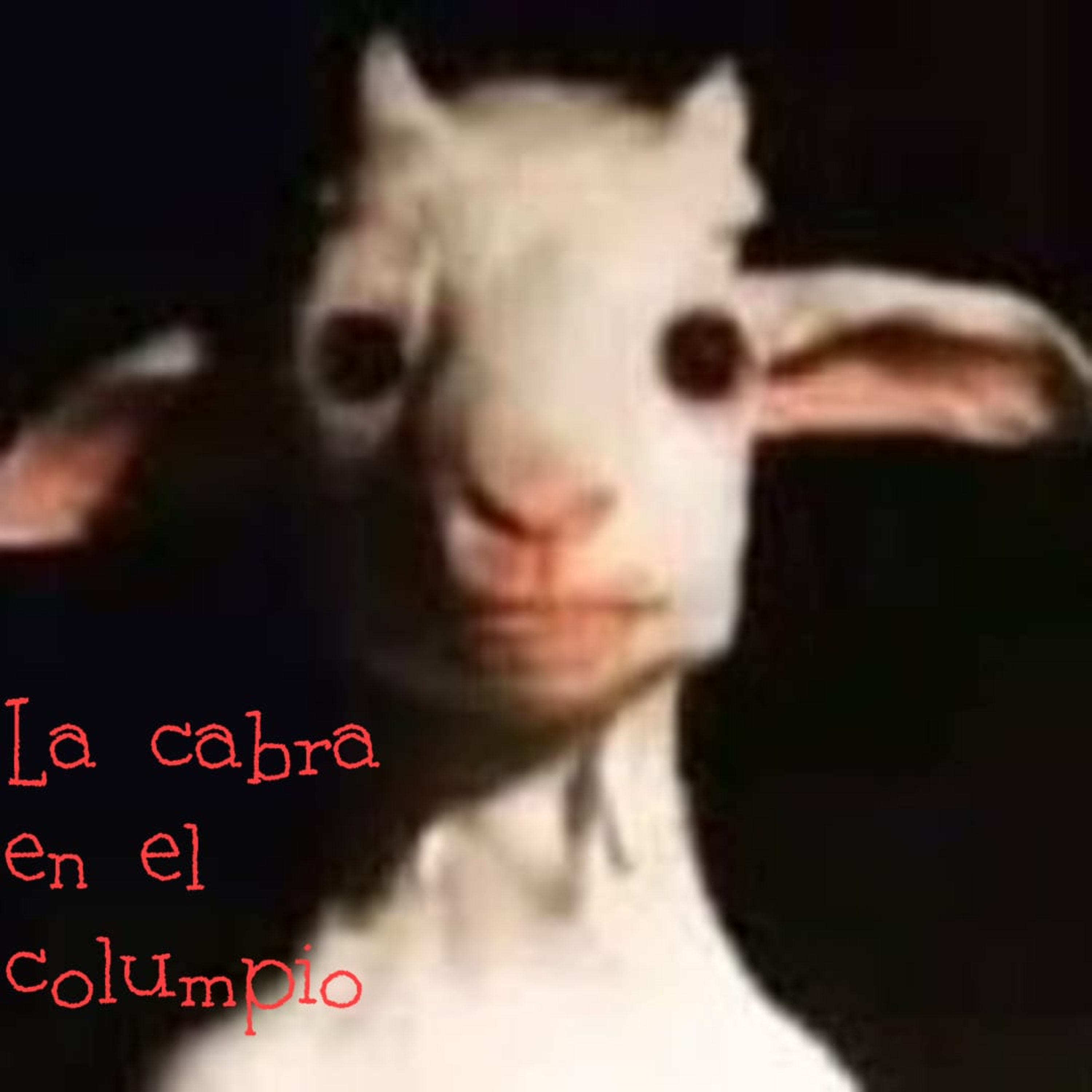 Relatos con Sebas Ibarra