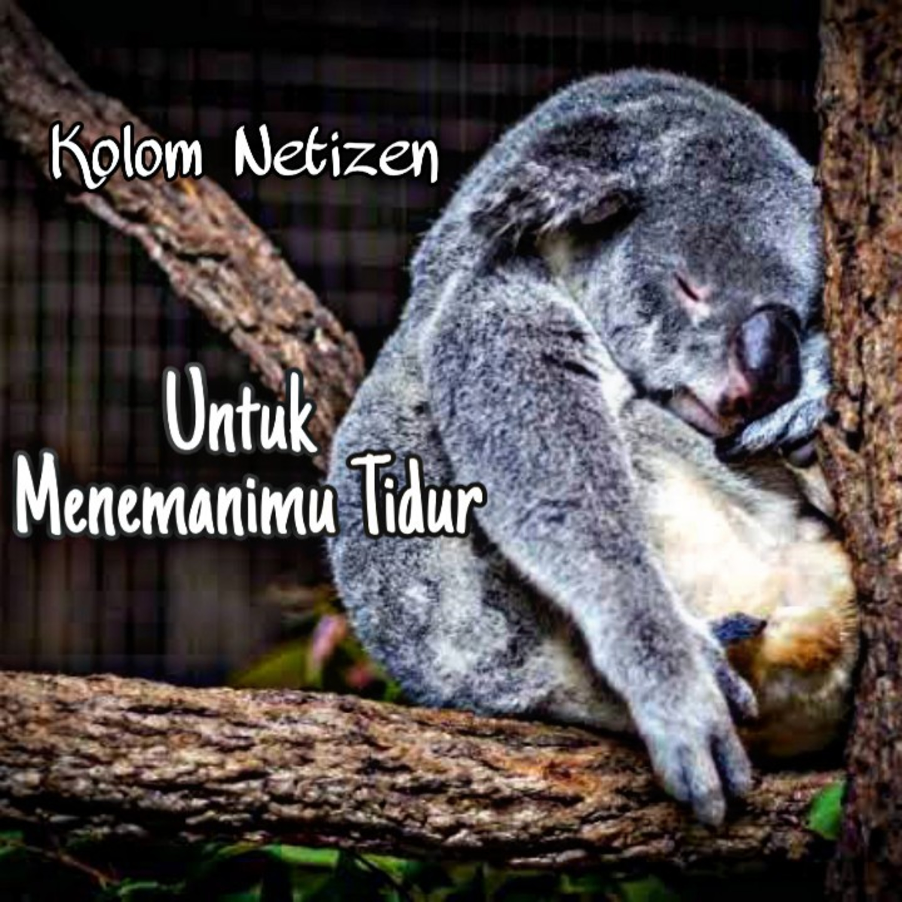 Kolom Netizen