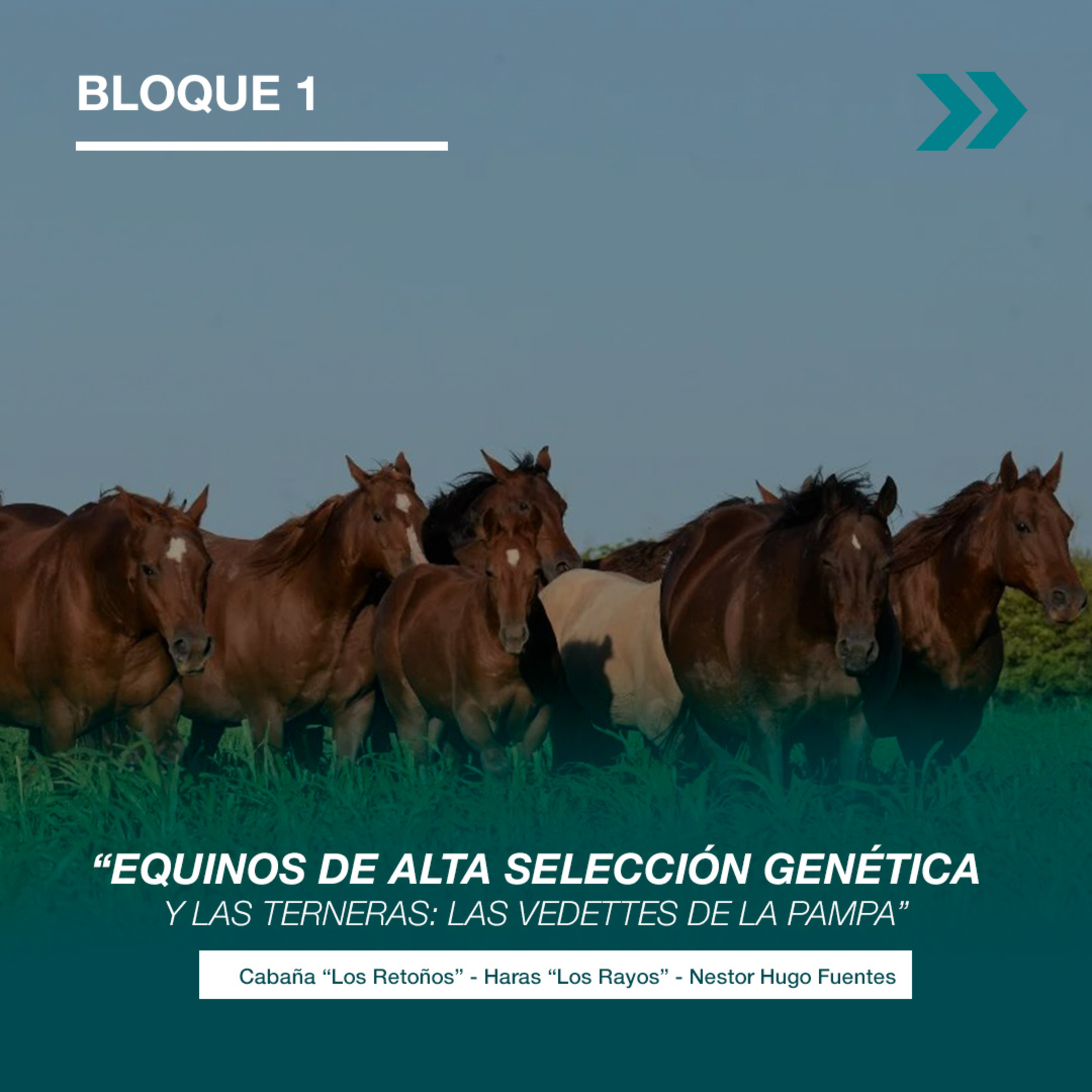 PALABRA RURAL