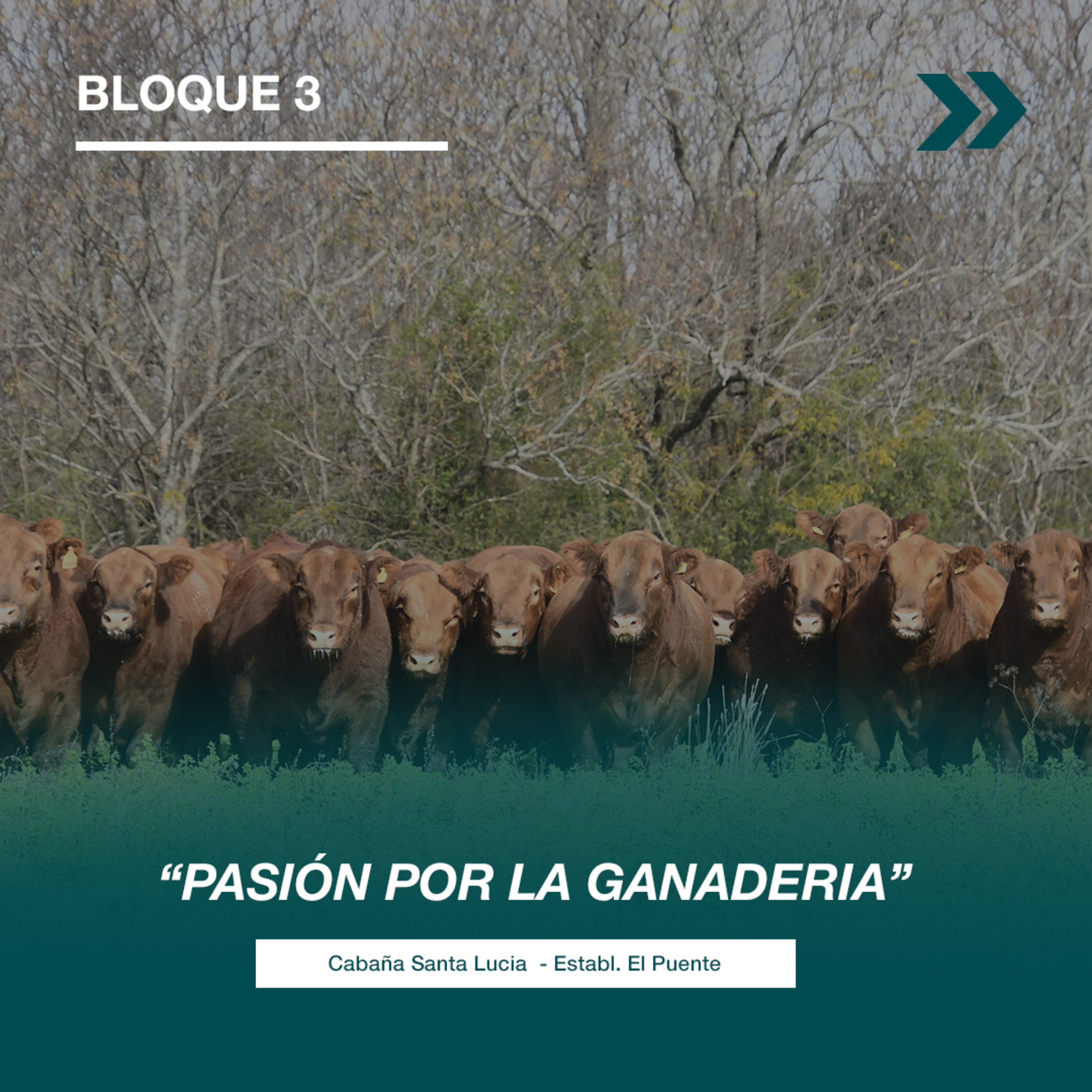 PALABRA RURAL
