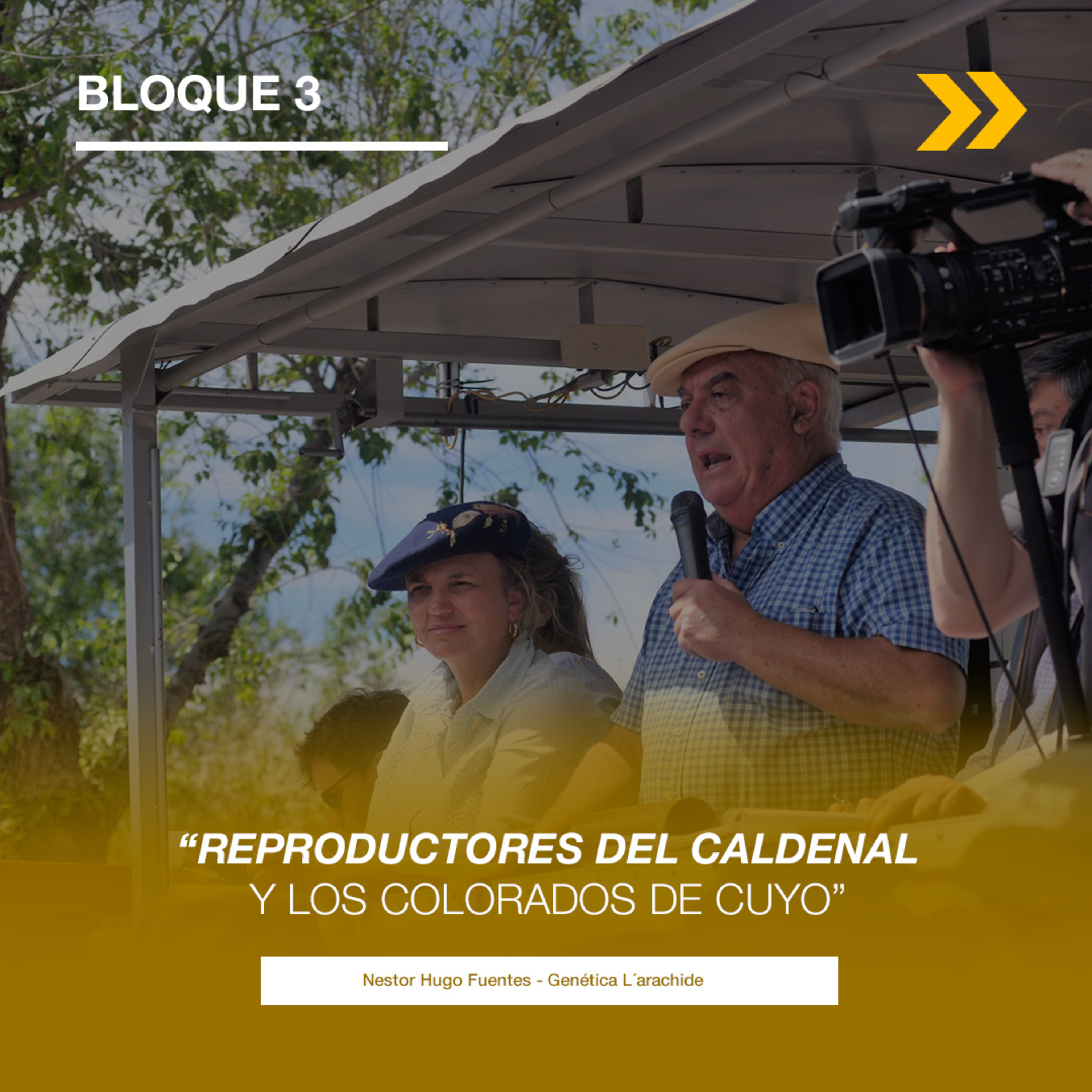 PALABRA RURAL