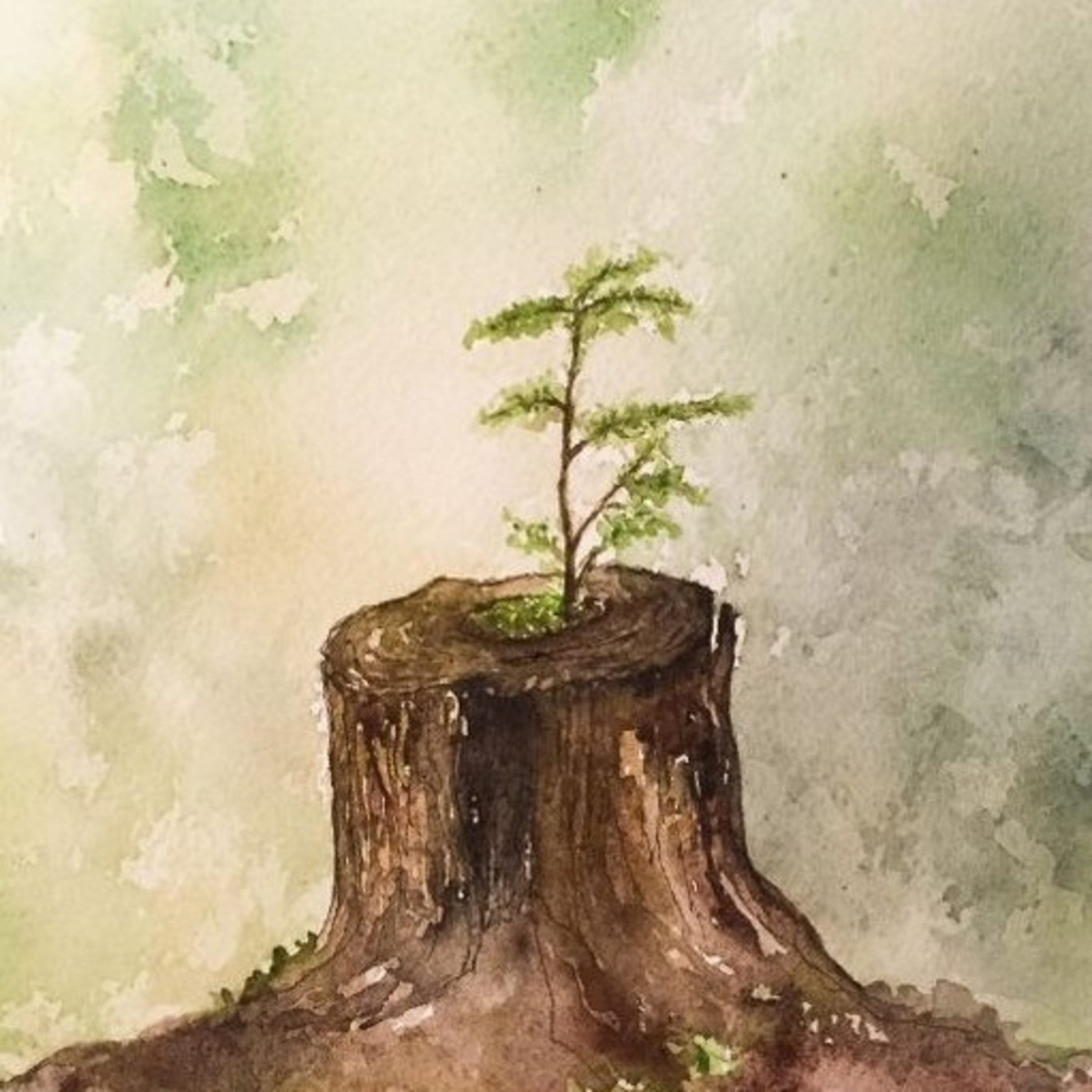Sementes Pachamama | Mariana Bonato_Tambores Pachamama