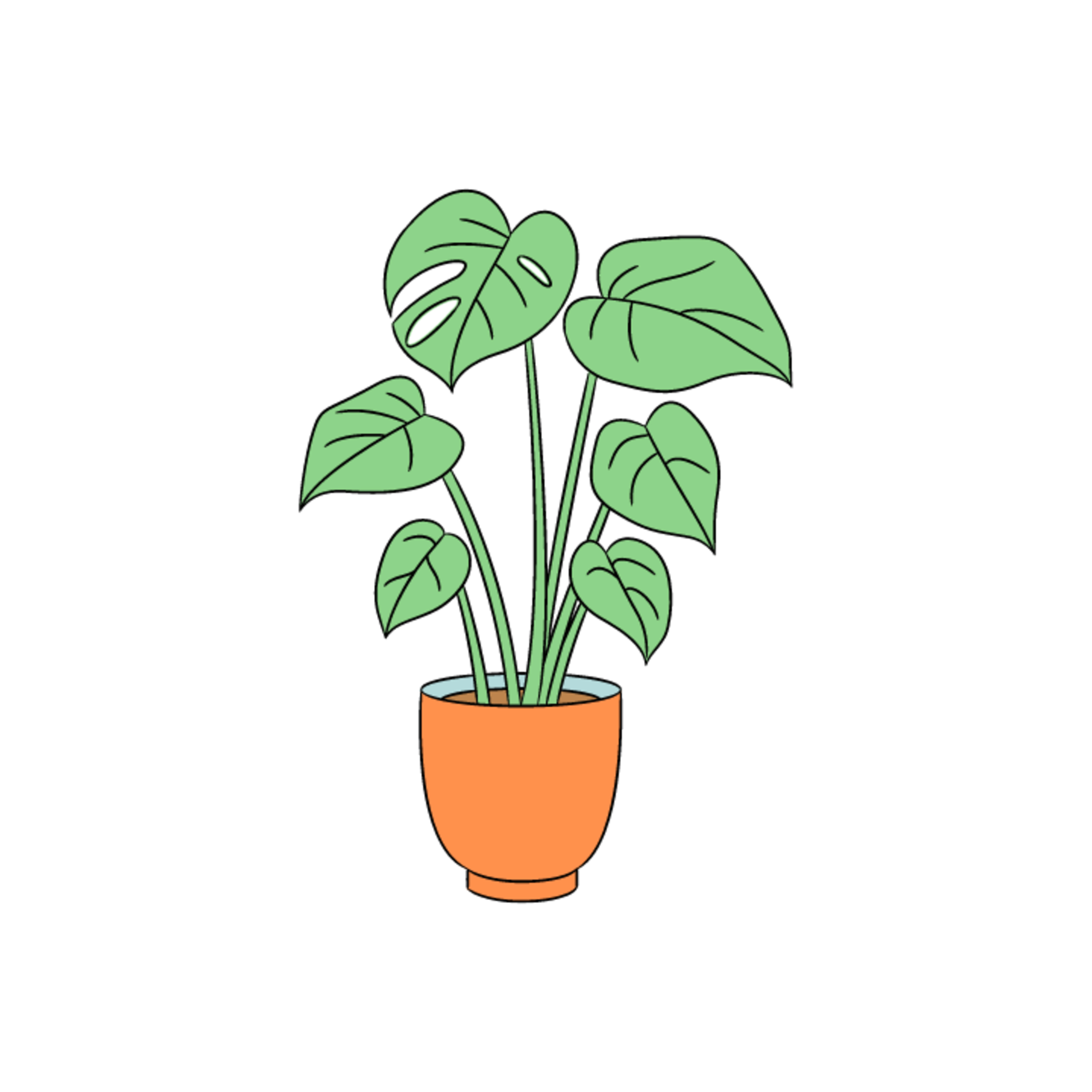 Carnivorous Plants episode artwork