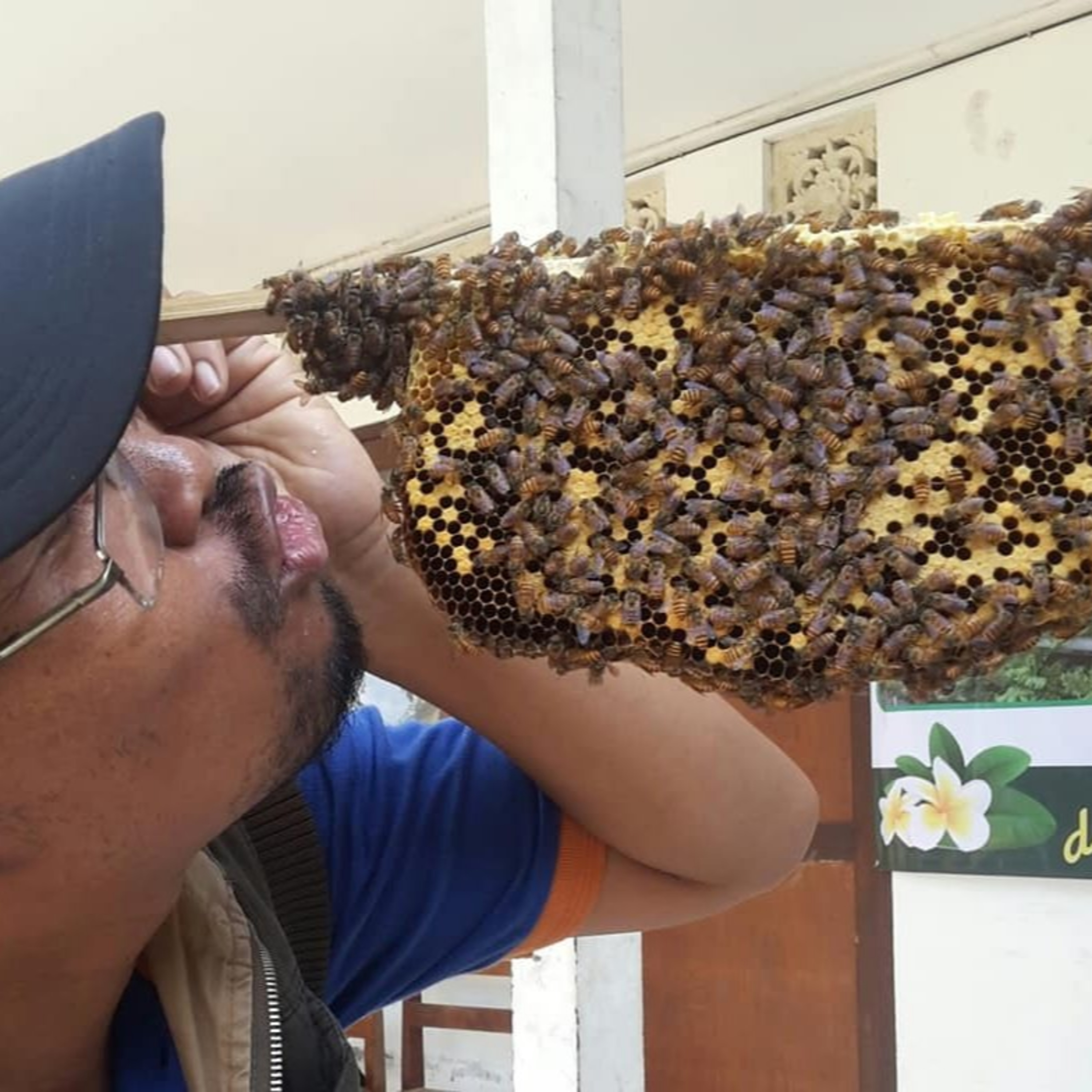 Muliarta