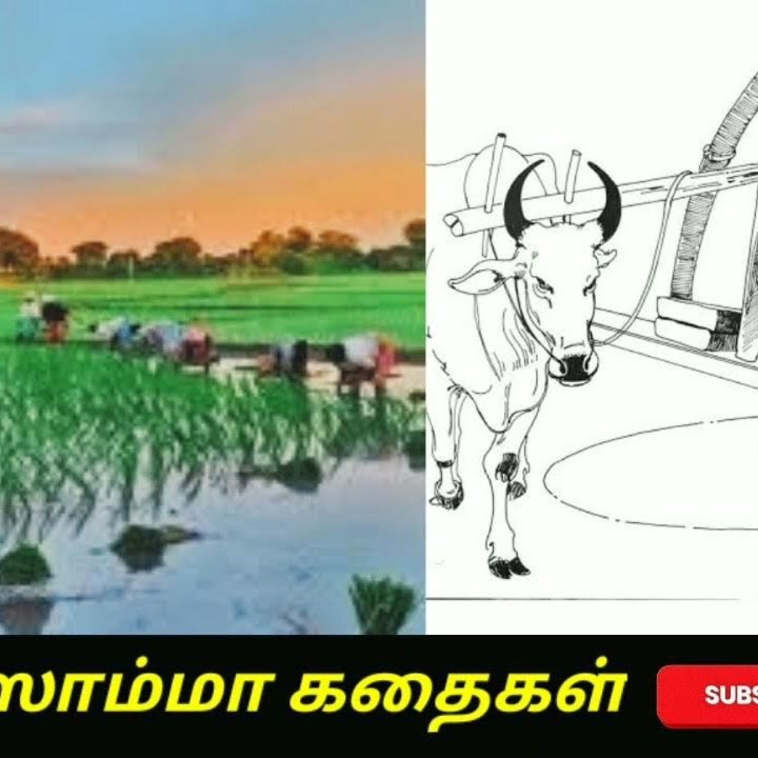 Aisamma Kadhaigal !! Tamil Short Story For Kids