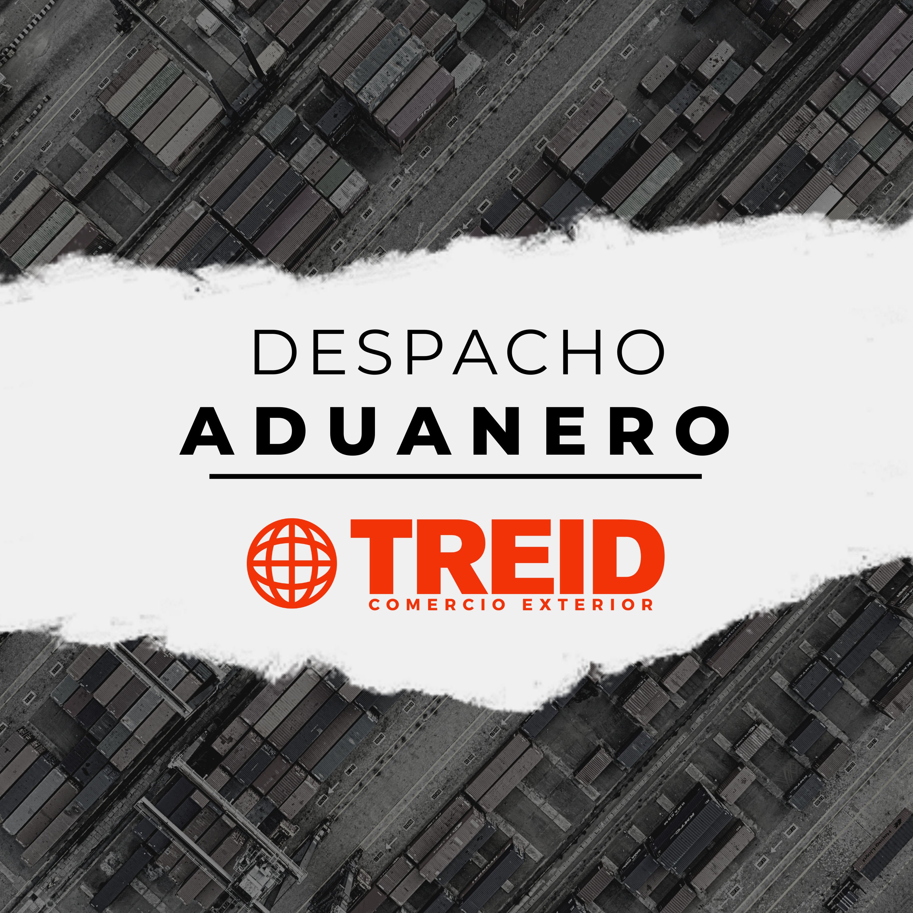 Treid Comercio Exterior