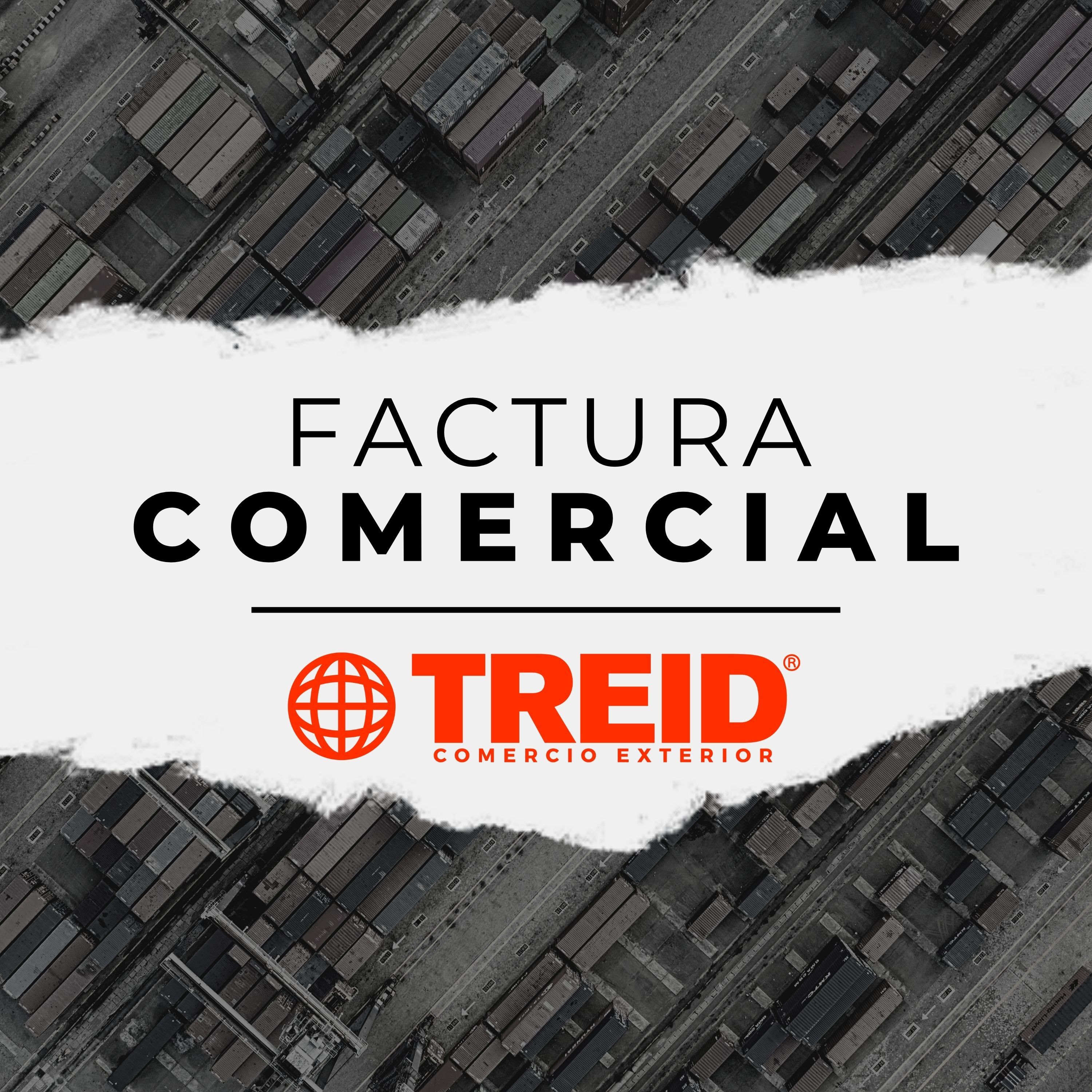 Treid Comercio Exterior