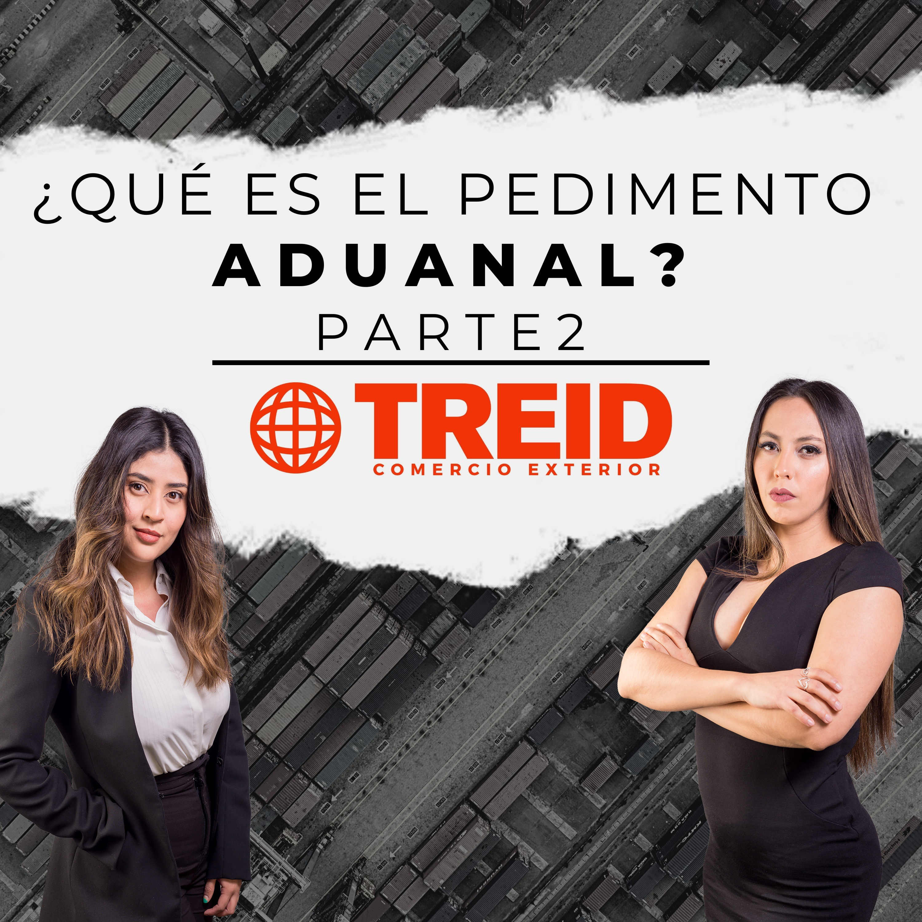 Treid Comercio Exterior