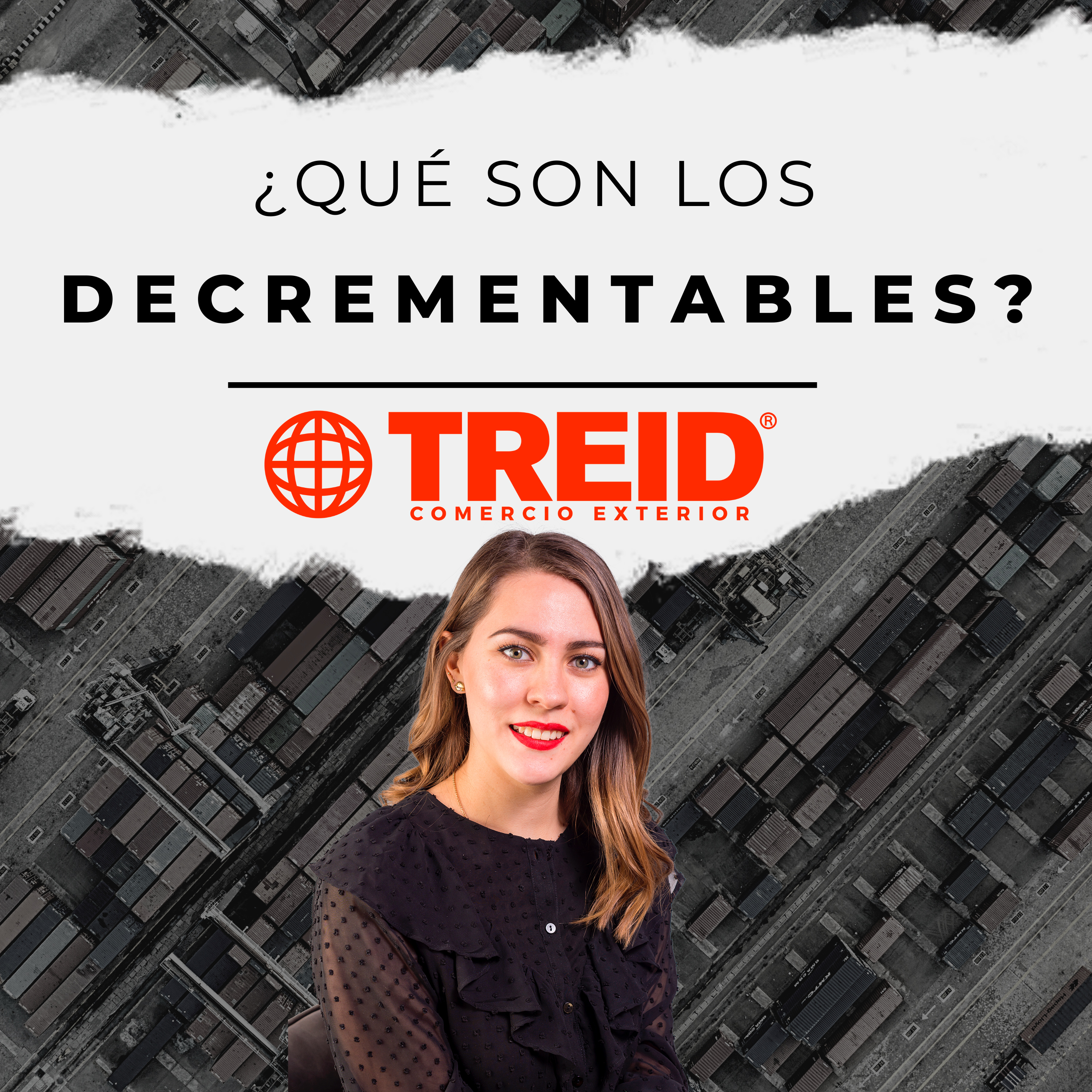 Treid Comercio Exterior