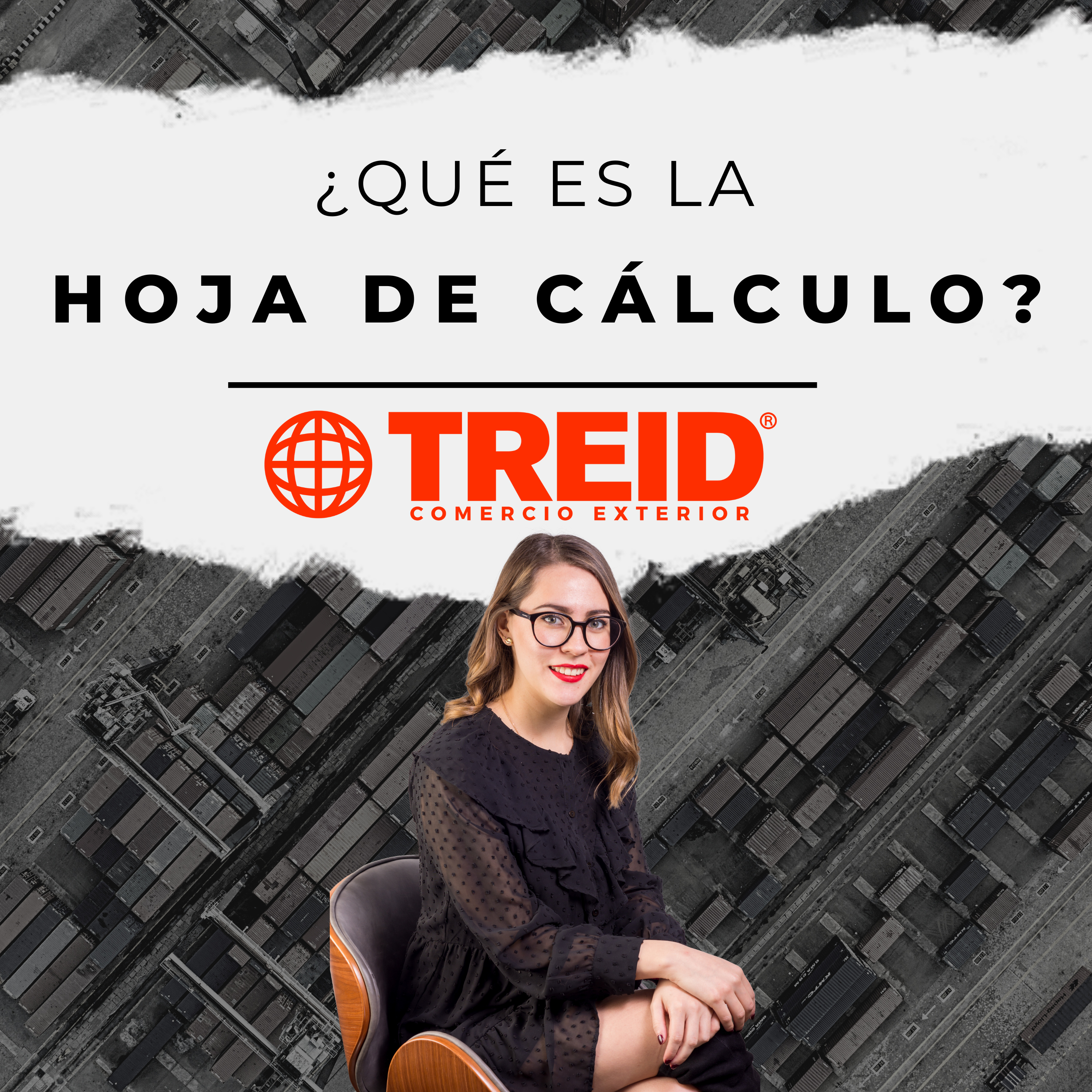 Treid Comercio Exterior