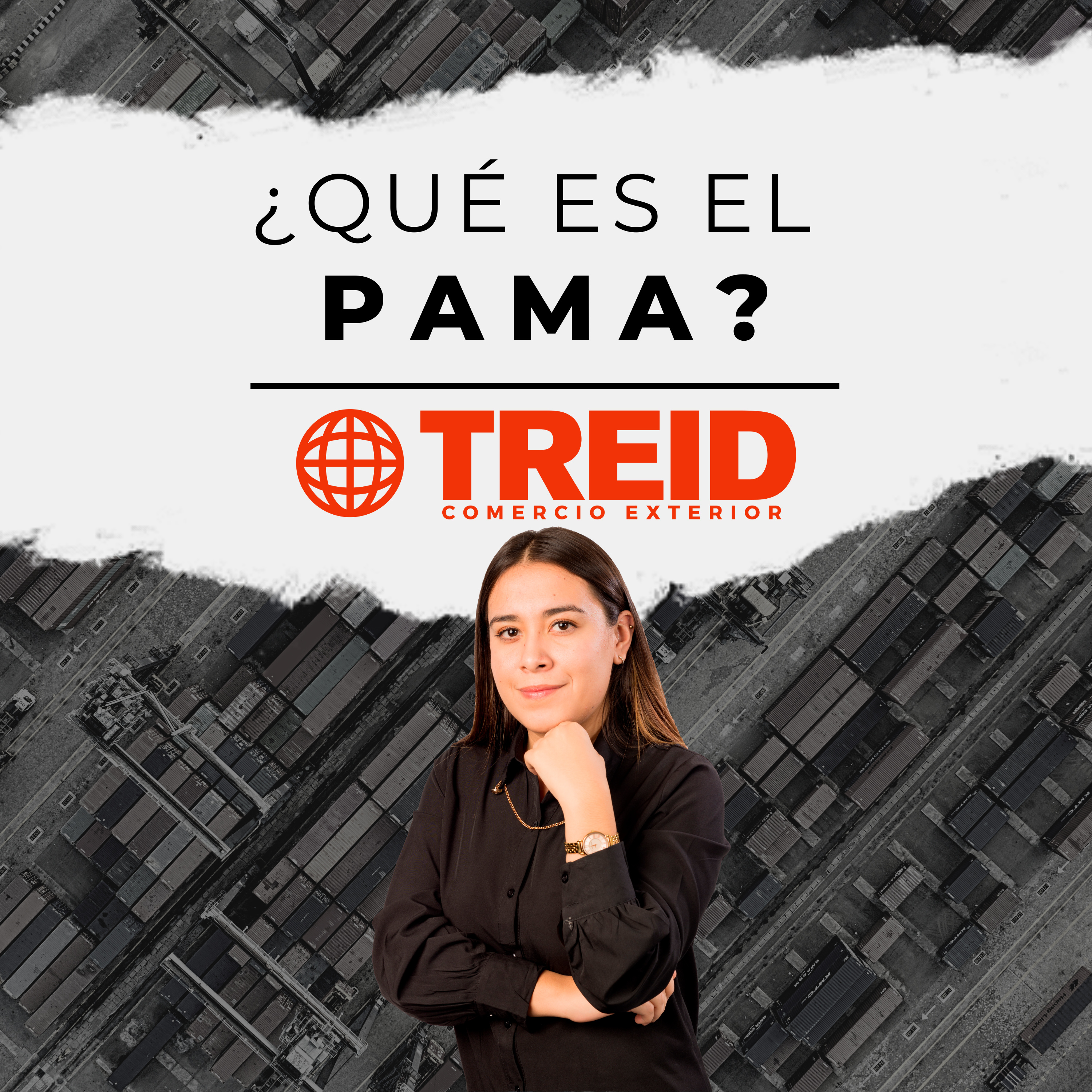 Treid Comercio Exterior